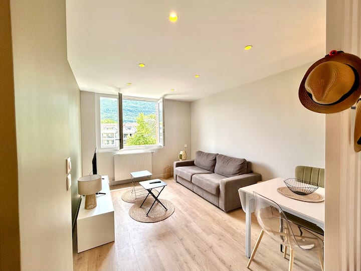 Appartement Rénové à Annecy Avec Parking Et Wifi - Annecy