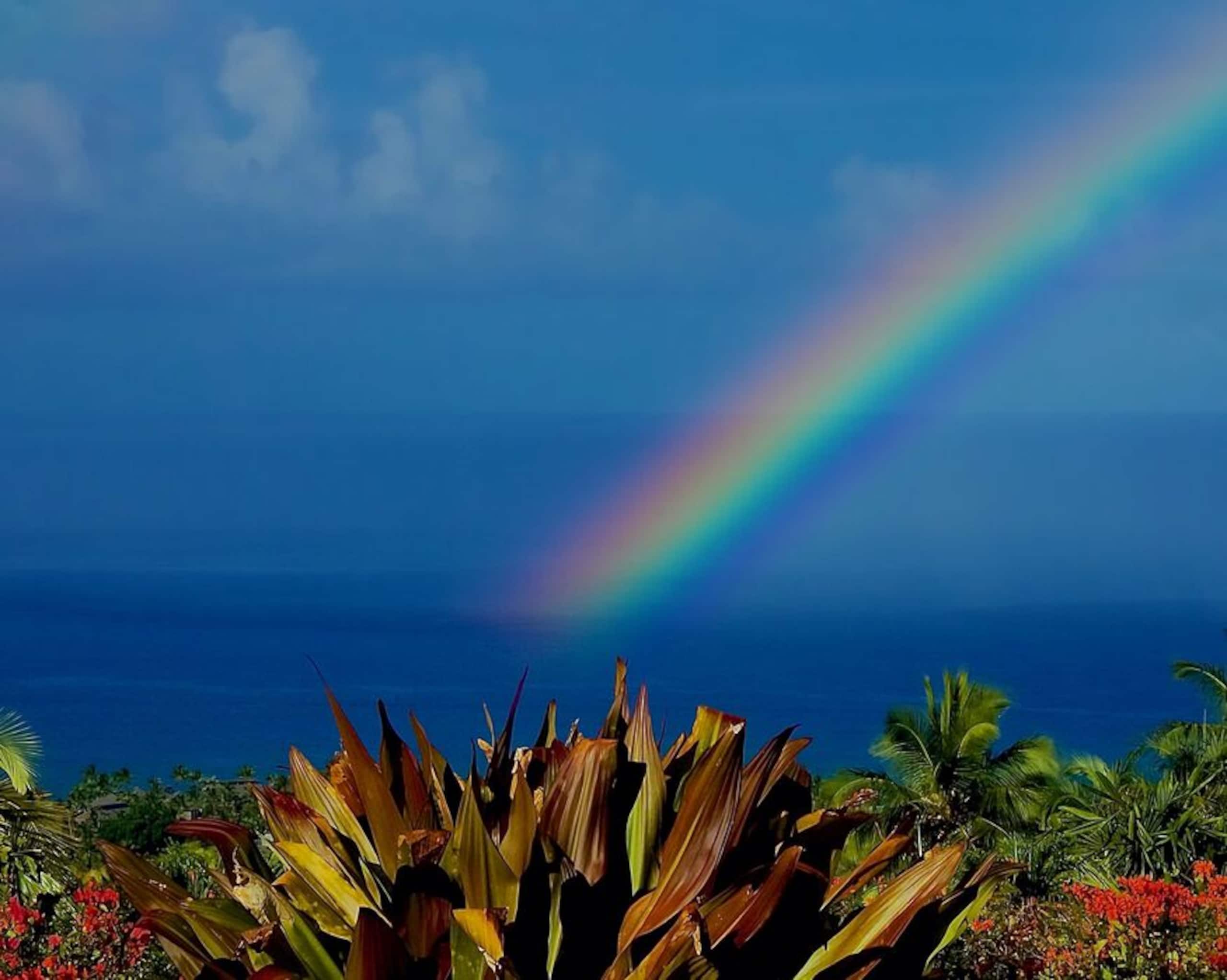 Home in Kailua-Kona · ★5.0 · 4 bedrooms · 4 beds · 4.5 baths - Image 2