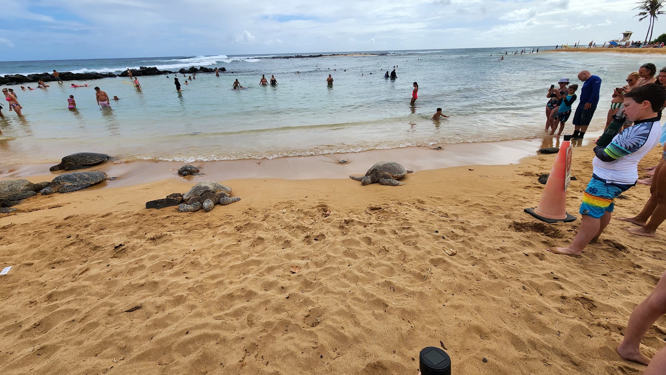Condo in Koloa · ★4.95 · 1 bedroom · 2 beds · 1 private bath - Image 27