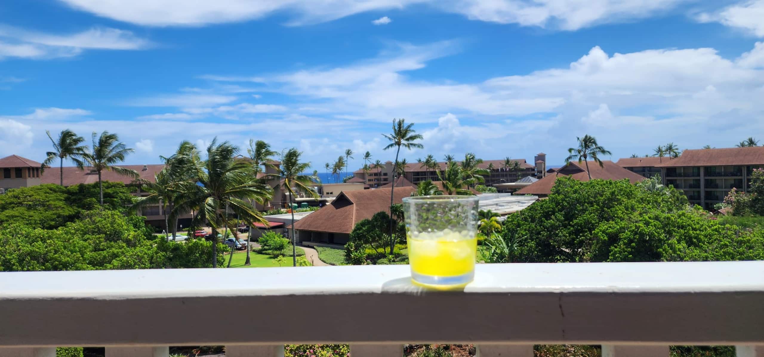 Condo in Koloa · ★4.95 · 1 bedroom · 2 beds · 1 private bath - Image 21