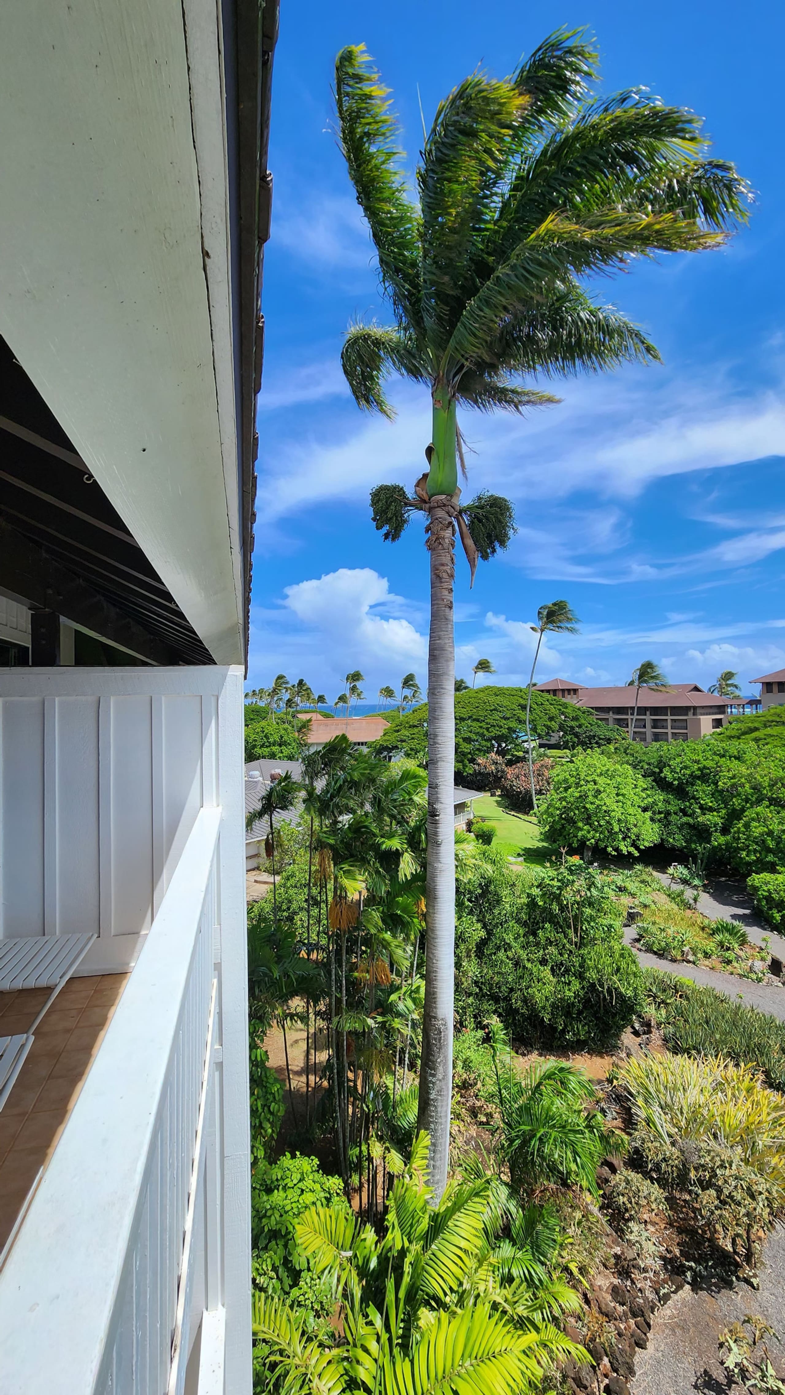 Condo in Koloa · ★4.95 · 1 bedroom · 2 beds · 1 private bath - Image 24