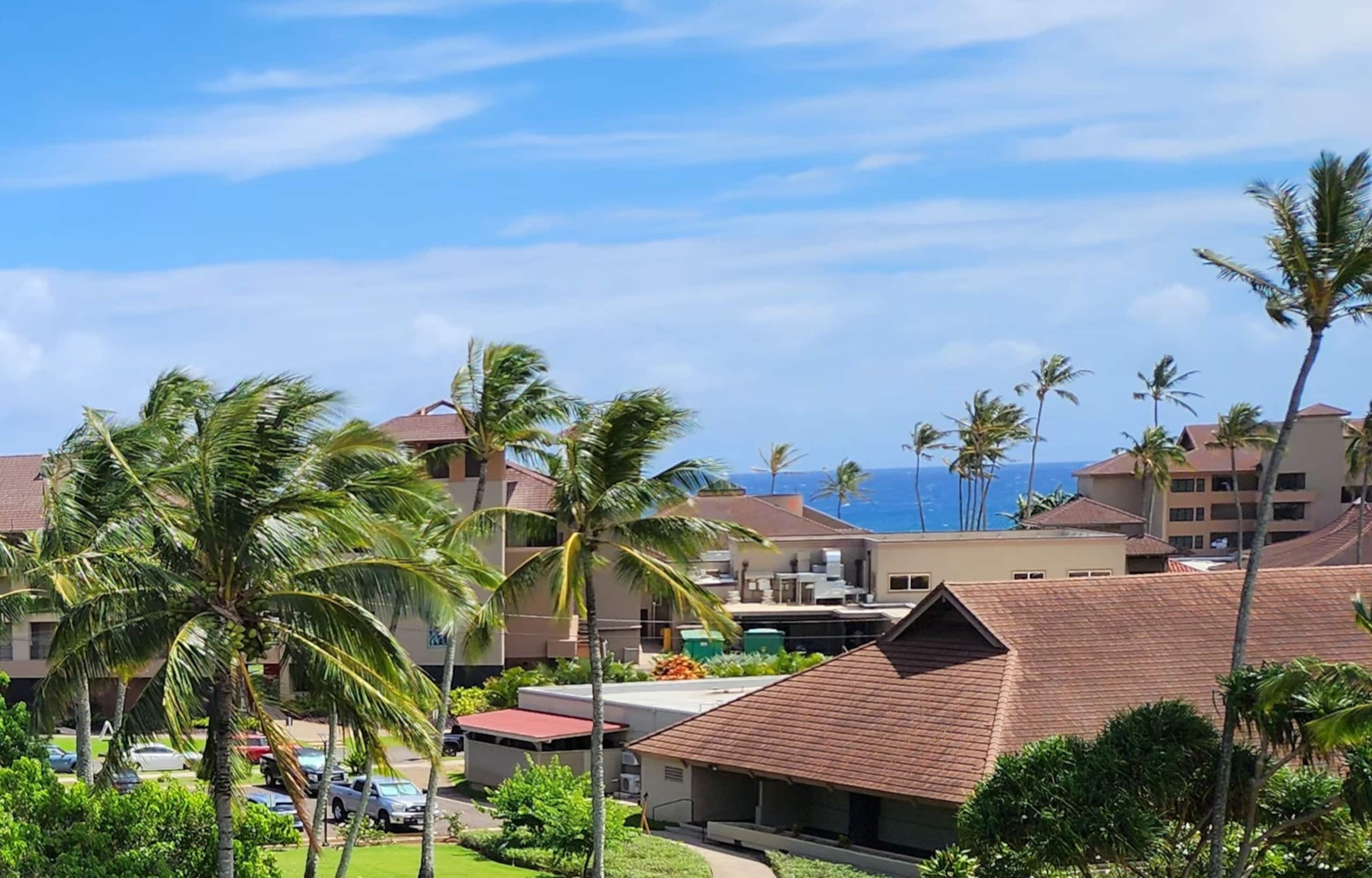 Condo in Koloa · ★4.95 · 1 bedroom · 2 beds · 1 private bath - Image 30