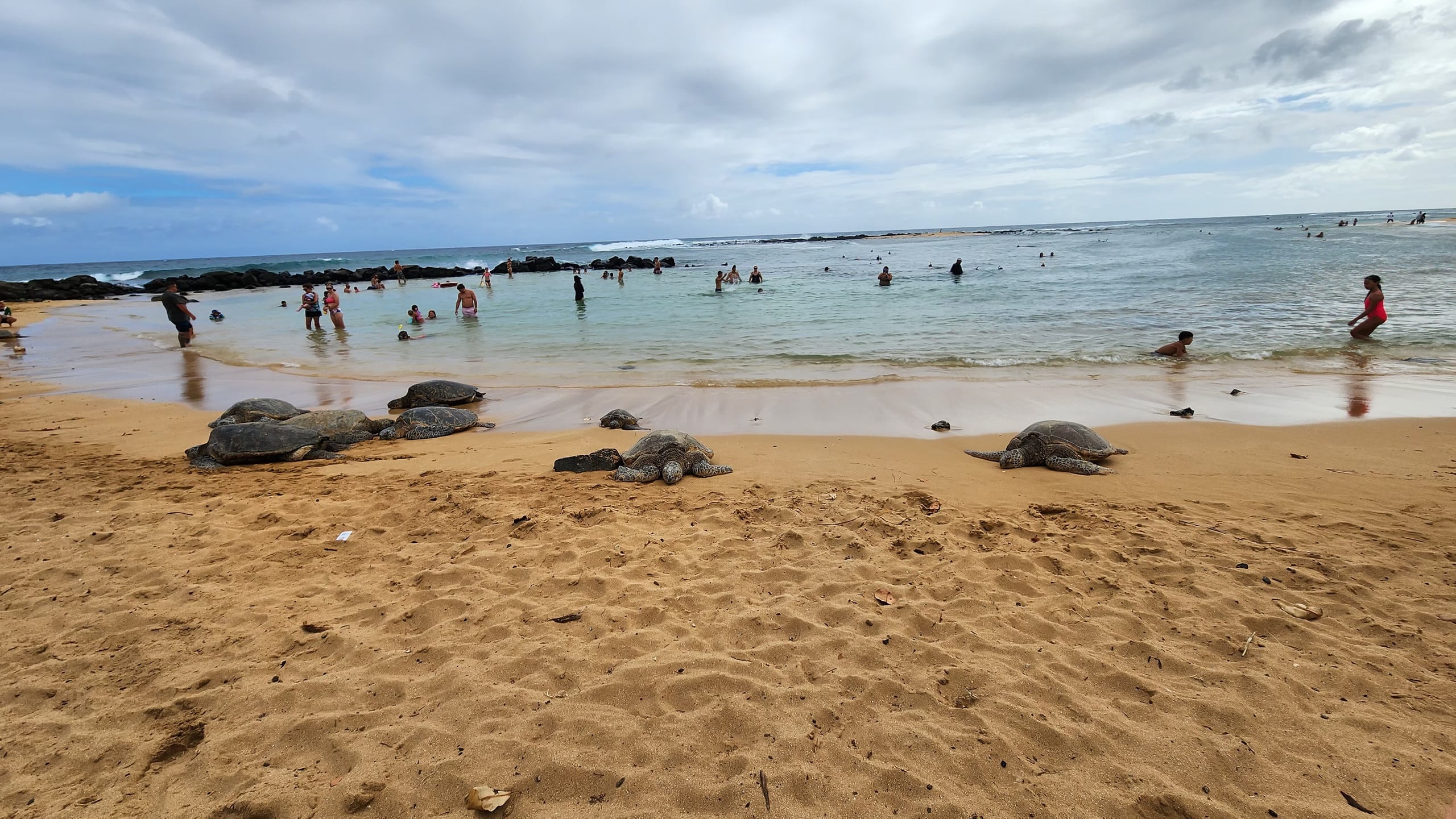 Condo in Koloa · ★4.95 · 1 bedroom · 2 beds · 1 private bath - Image 26
