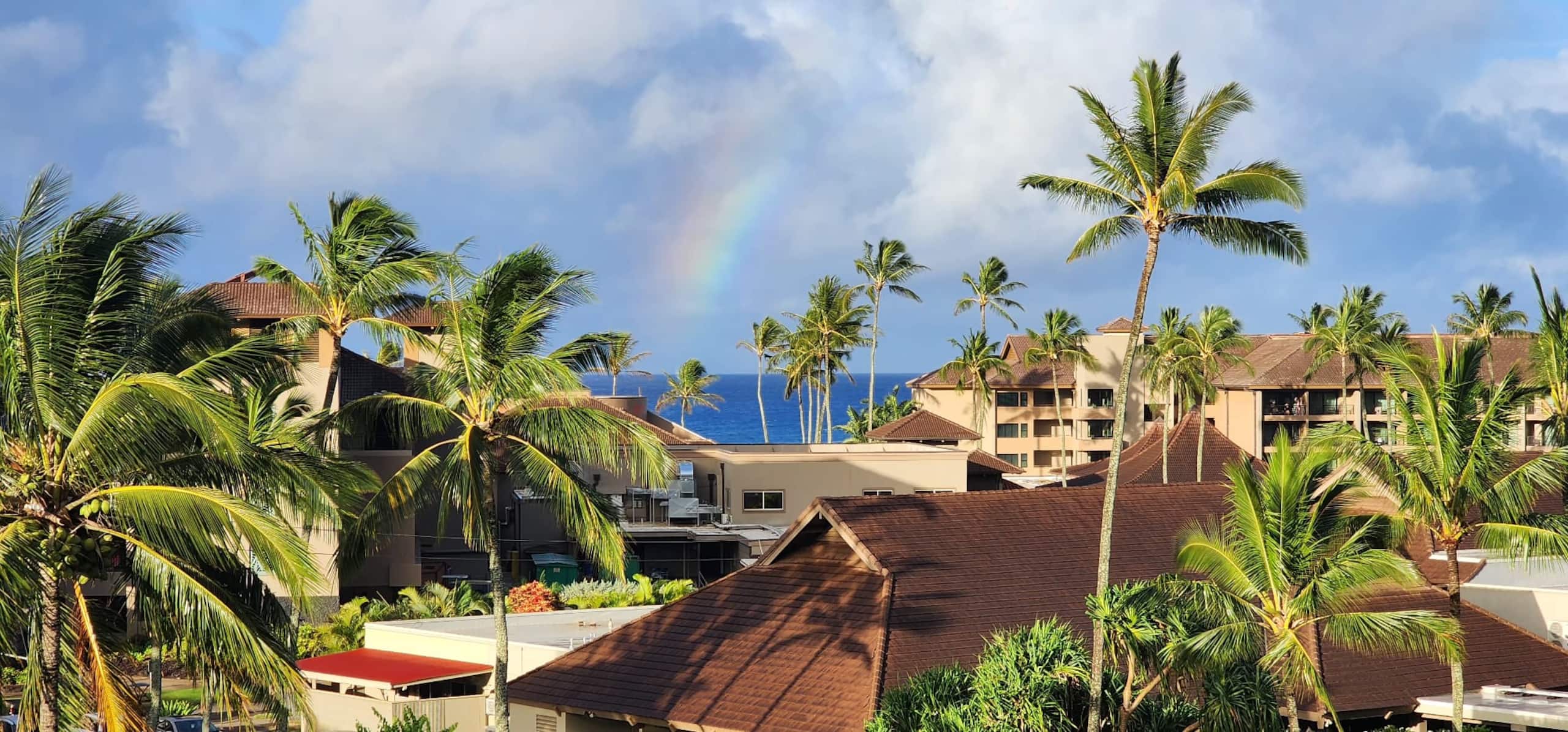 Condo in Koloa · ★4.95 · 1 bedroom · 2 beds · 1 private bath - Image 32