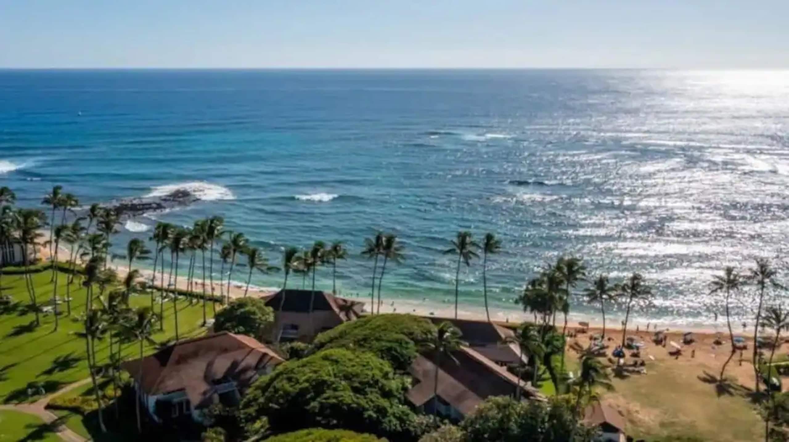 Condo in Koloa · ★4.95 · 1 bedroom · 2 beds · 1 private bath - Image 31