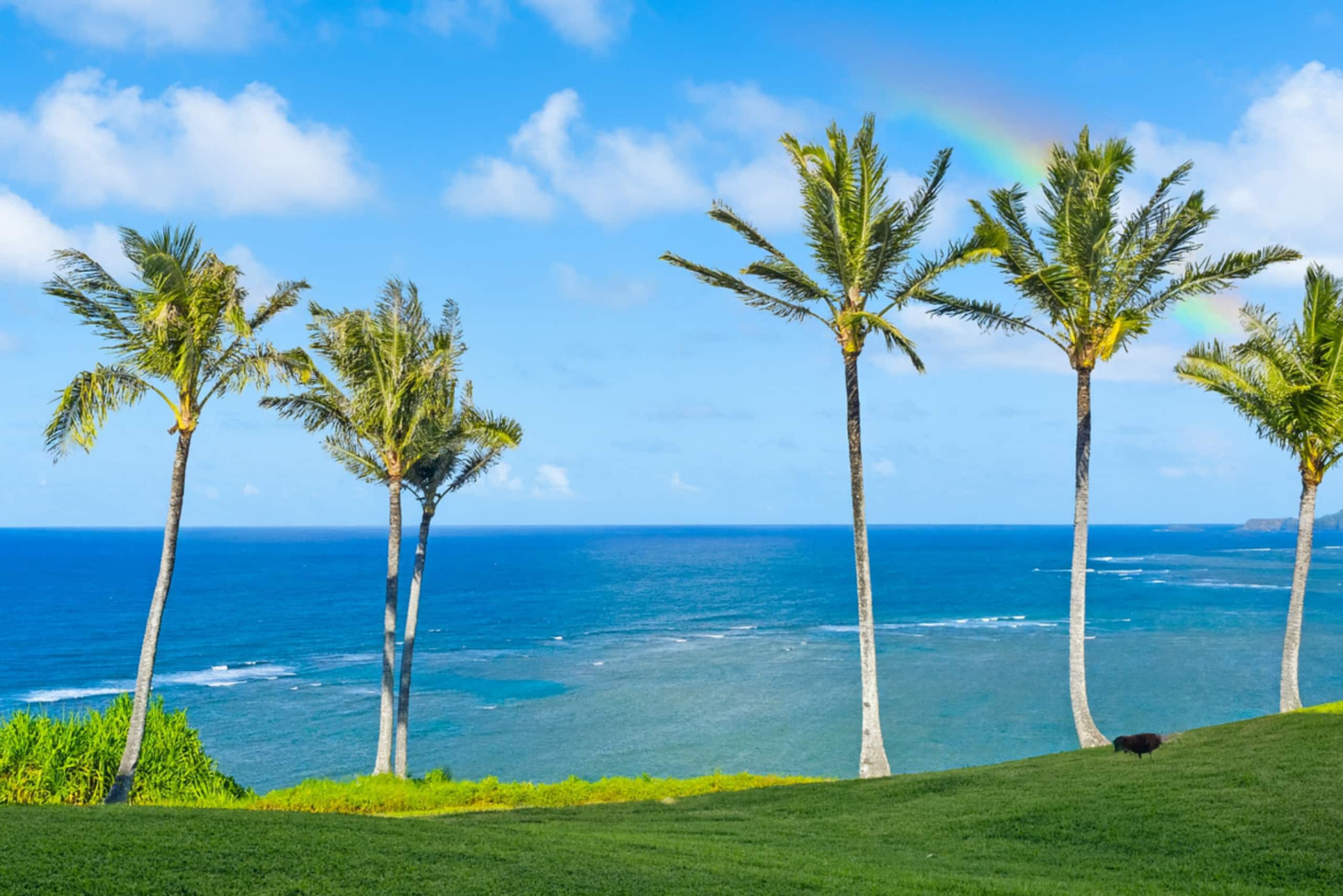 Condo in Princeville · ★4.94 · 1 bedroom · 2 beds · 1 bath - Image 2