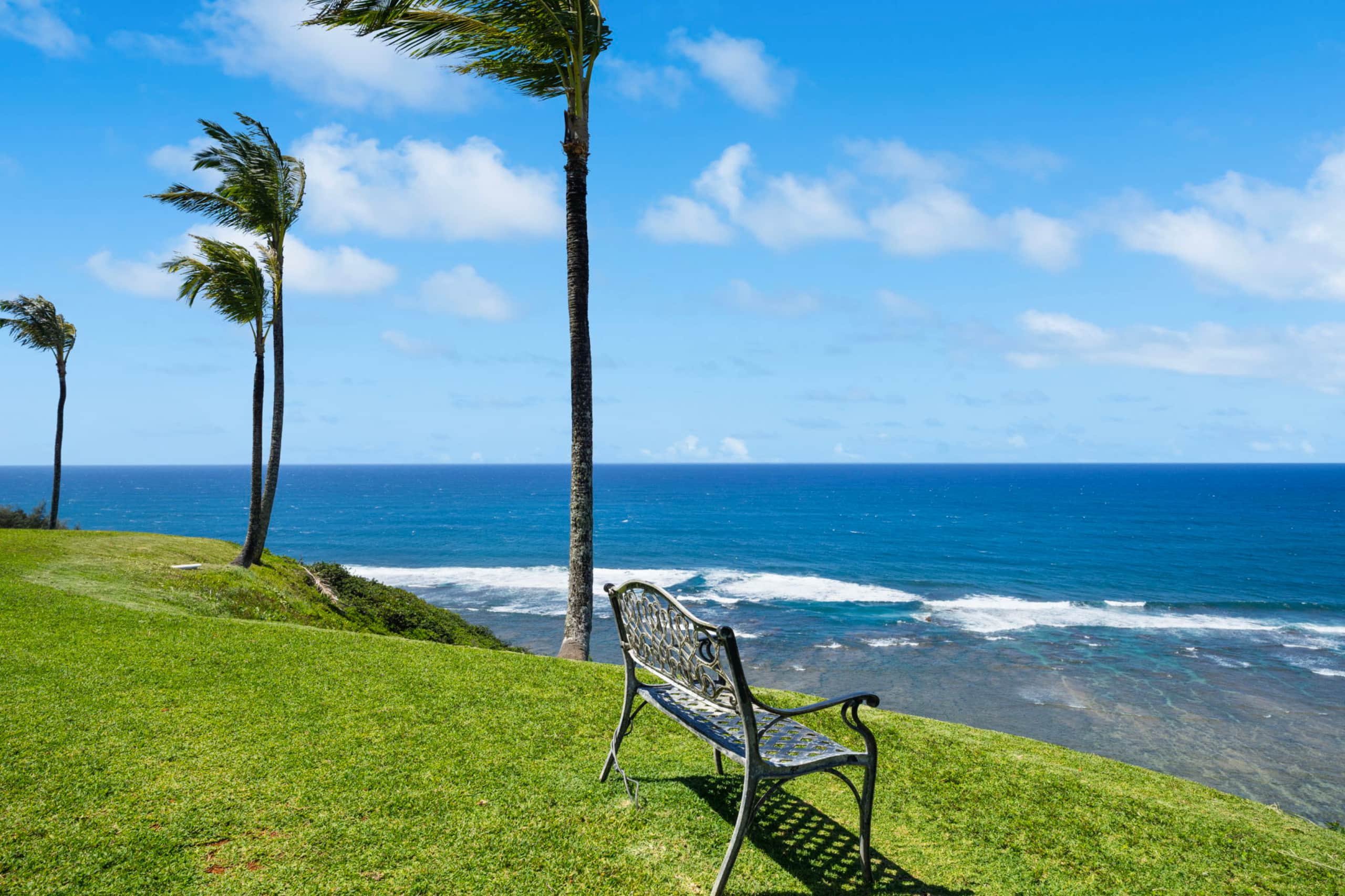 Condo in Princeville · ★4.94 · 1 bedroom · 2 beds · 1 bath - Image 34