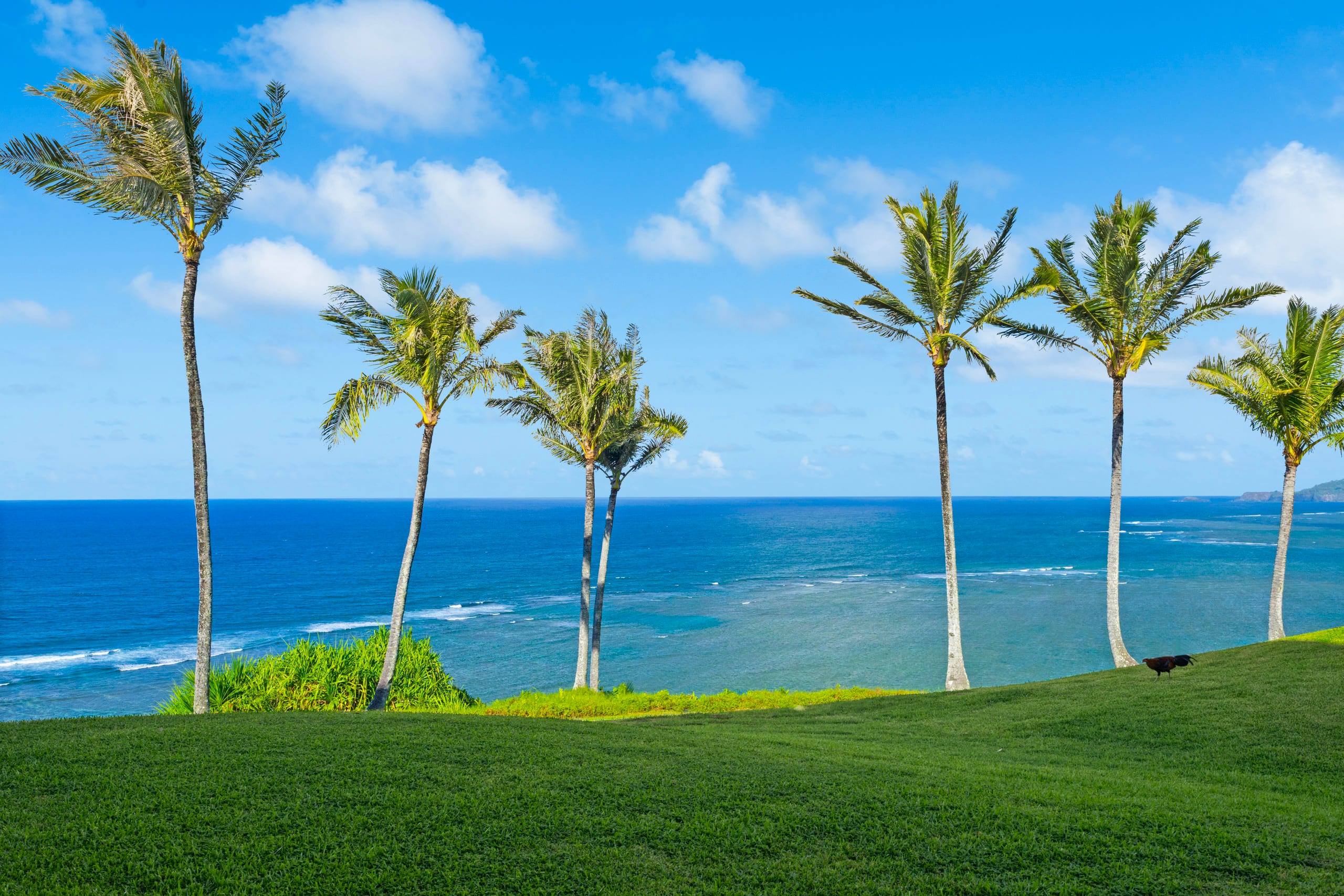 Condo in Princeville · ★4.94 · 1 bedroom · 2 beds · 1 bath - Image 21