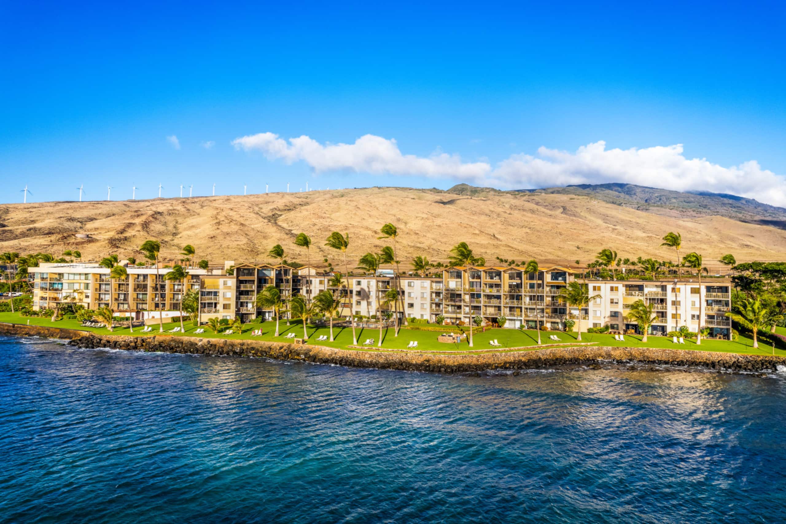 Condo in Wailuku · ★5.0 · 2 bedrooms · 3 beds · 2 baths - Image 39