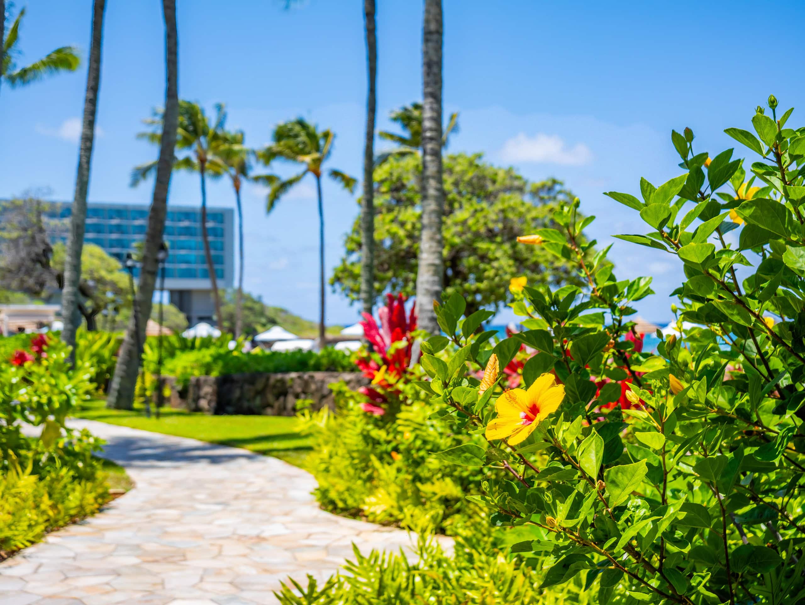 Villa in Kahuku · ★5.0 · 3 bedrooms · 4 beds · 2 private baths - Image 40