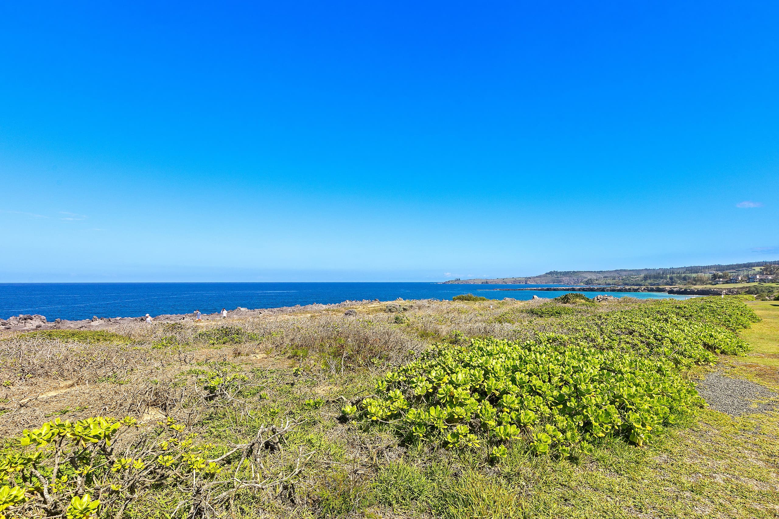 Condo in Lahaina · ★5.0 · 1 bedroom · 1 bed · 1 bath - Image 43