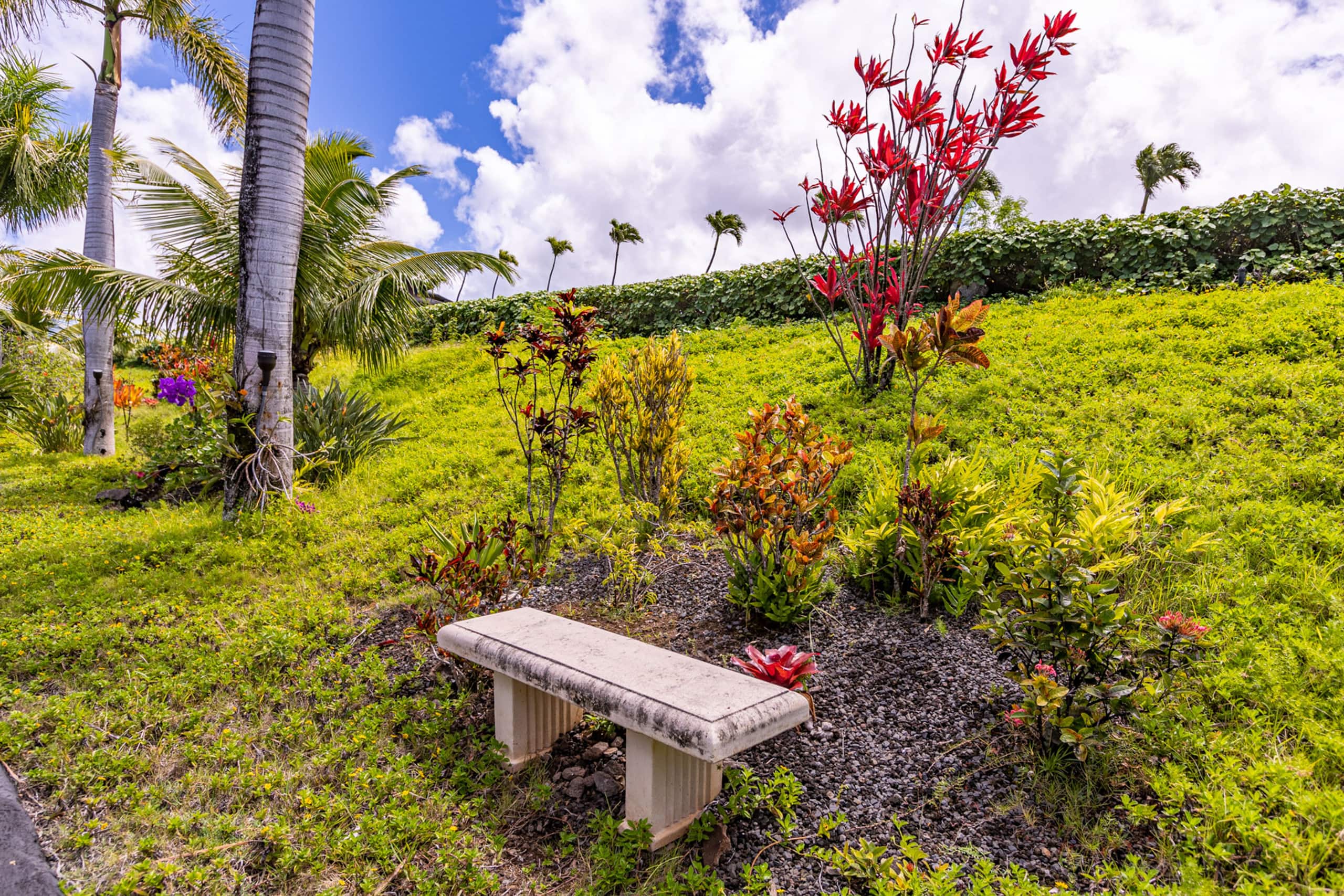 Condo in Lahaina · ★5.0 · 1 bedroom · 1 bed · 1 bath - Image 65