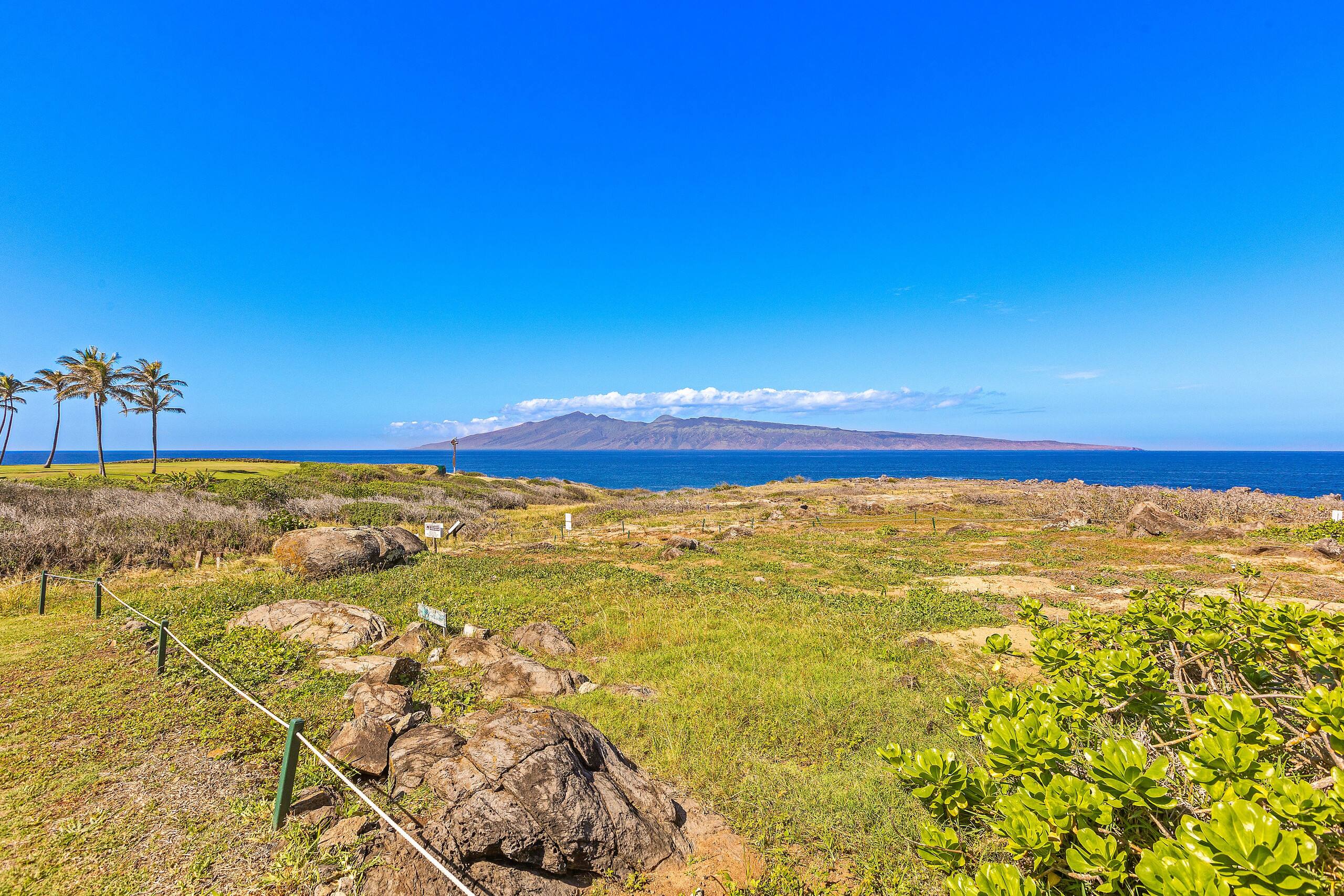 Condo in Lahaina · ★5.0 · 1 bedroom · 1 bed · 1 bath - Image 44
