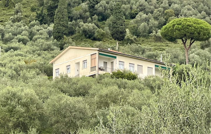 Gorgeous Home In Capezzano Pianore With Wifi - Pietrasanta