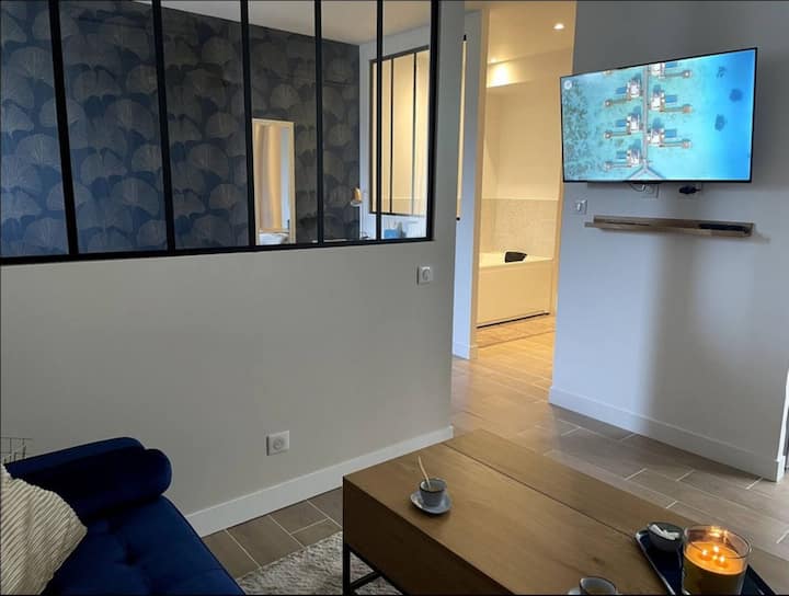 Charmant Studio Balnéo Wifi Borne Electrique - Vierzon