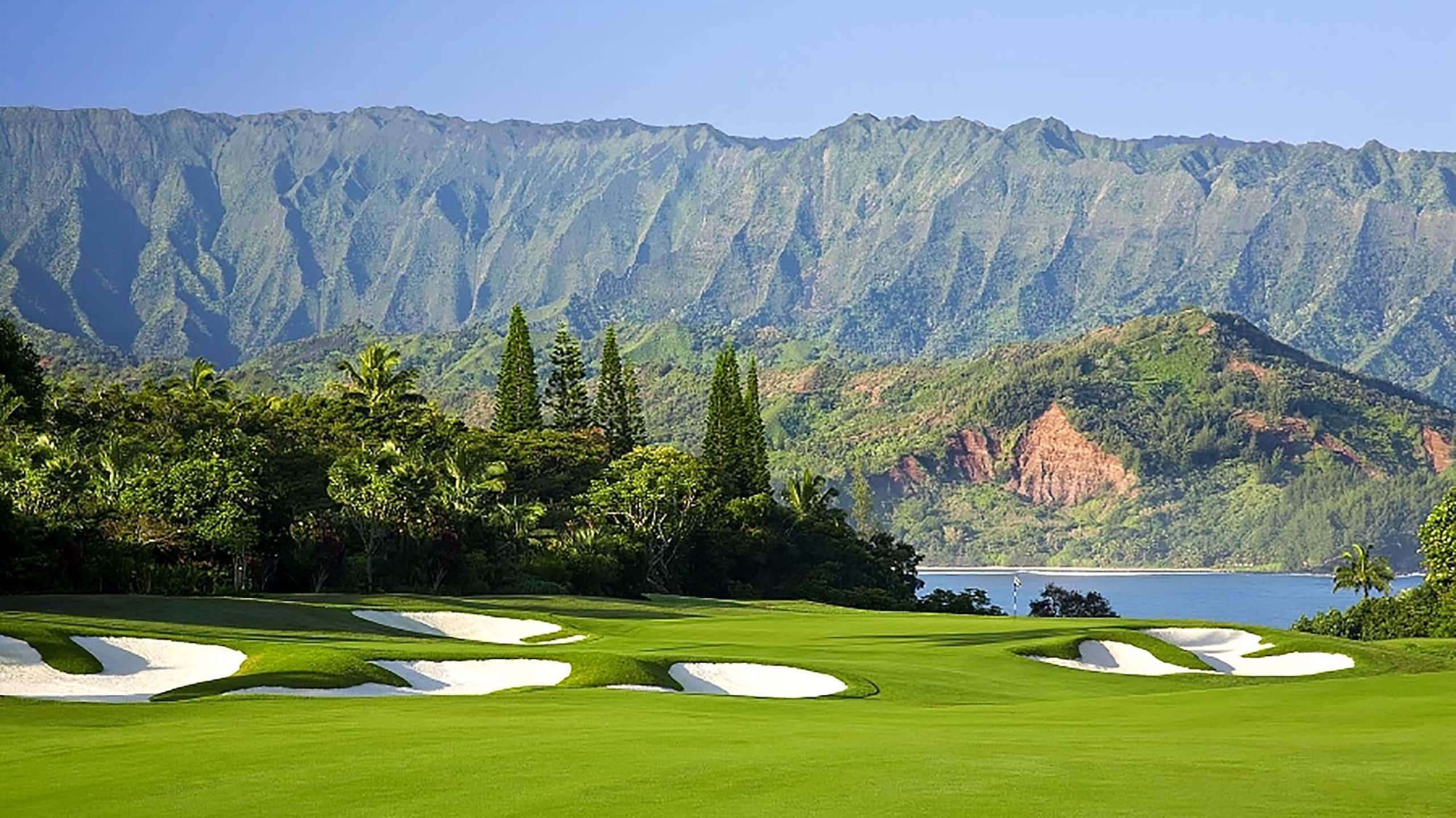 Villa in Princeville · ★5.0 · 6 bedrooms · 13 beds · 2.5 private baths - Image 74