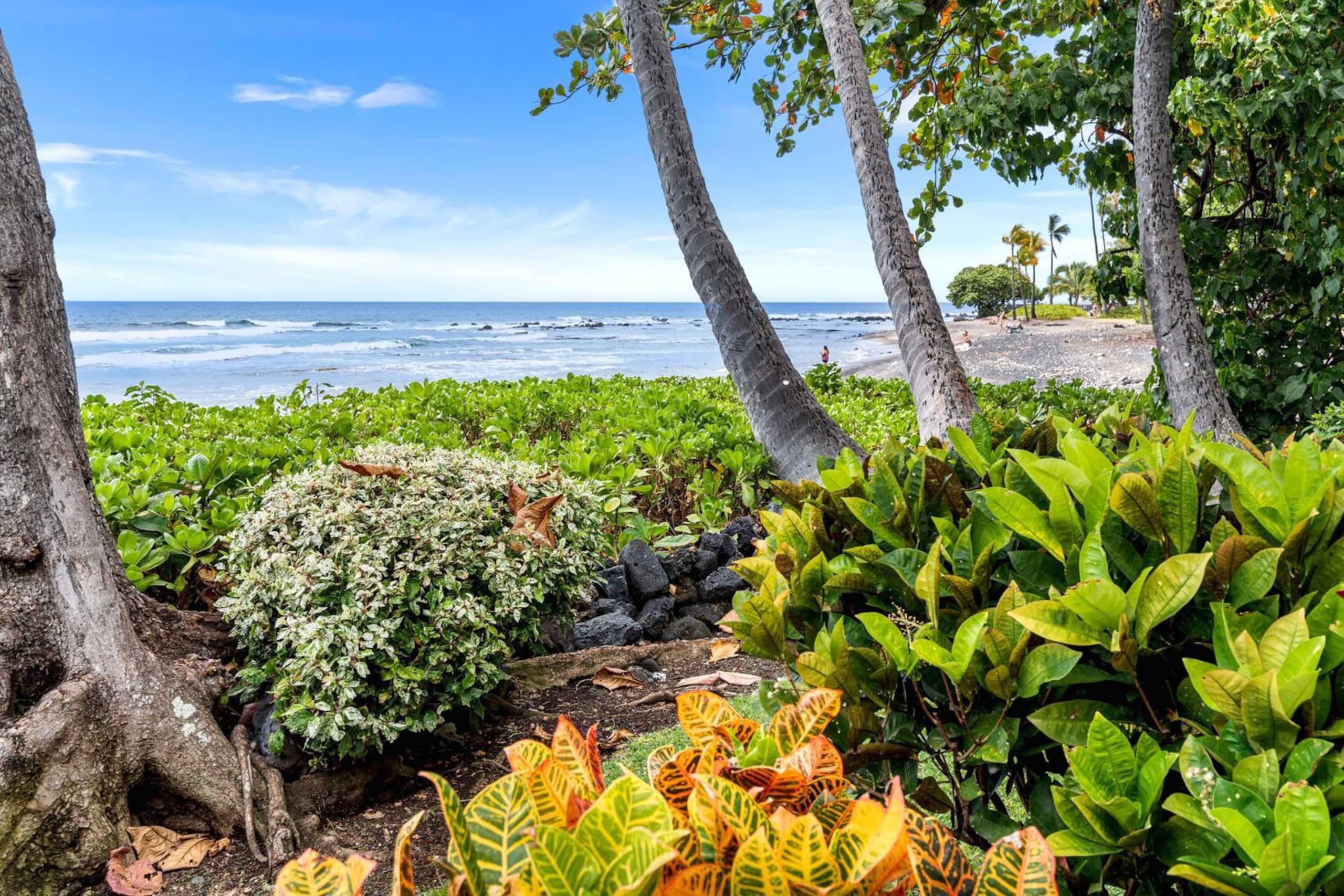 Condo in Kailua-Kona · ★5.0 · 2 bedrooms · 3 beds · 2 baths - Image 4