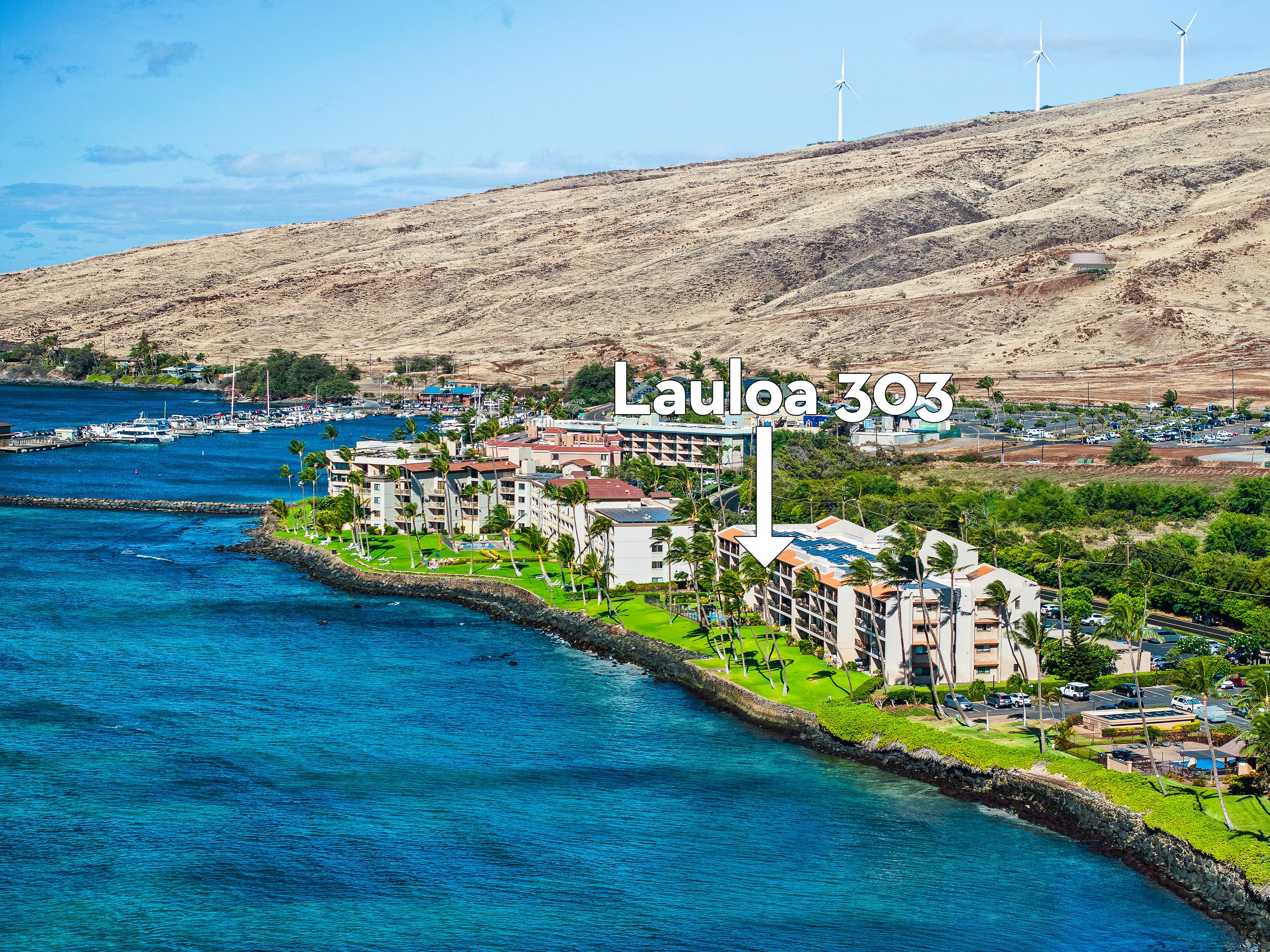 Condo in Wailuku · ★4.6 · 2 bedrooms · 2 beds · 2 baths - Image 35