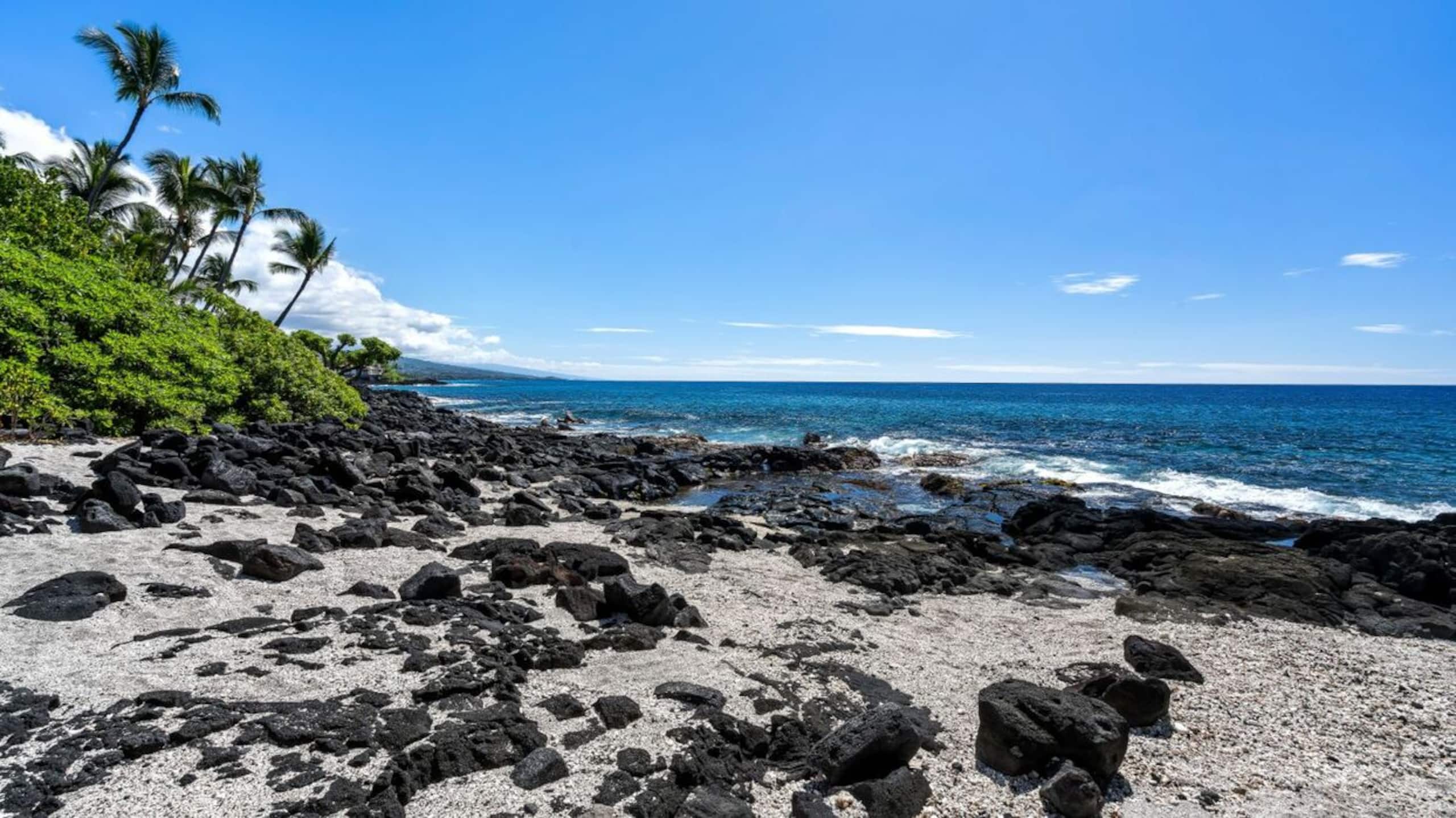 Condo in Kailua-Kona · ★4.75 · 1 bedroom · 2 beds · 1 private bath - Image 28