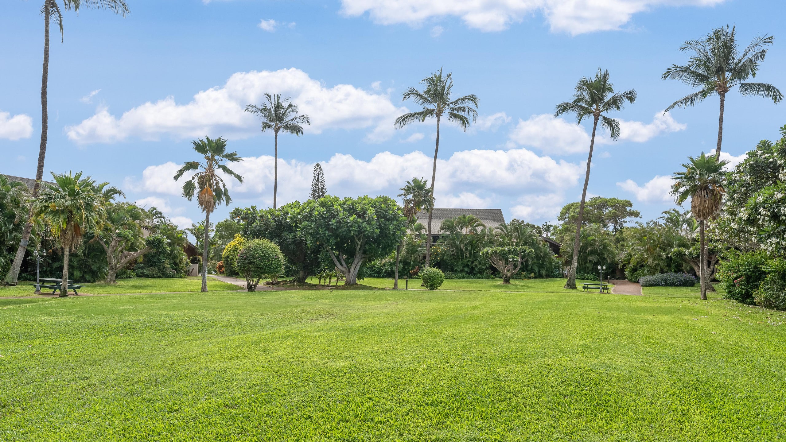 Spacious Renovated 4bd - Koa Resort 2A - Image 74