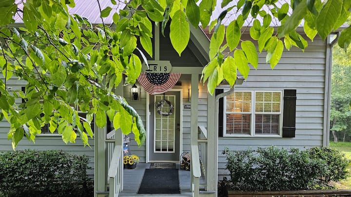 Iris-stunning 2 Bed.  Cathedral Ceiling Cottage - Blairsville, GA