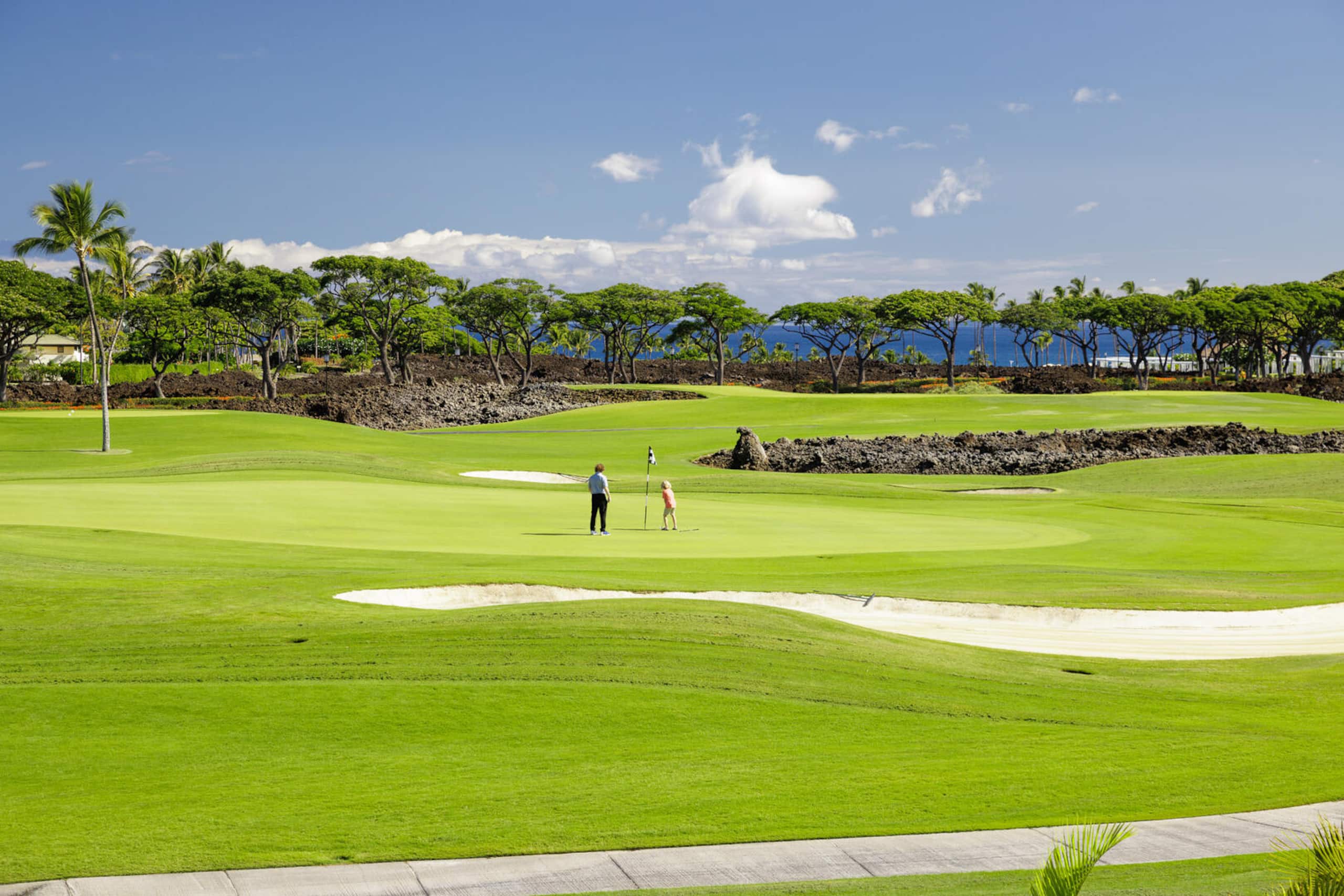Home in Waimea · ★5.0 · 4 bedrooms · 5 beds · 4.5 baths - Image 73