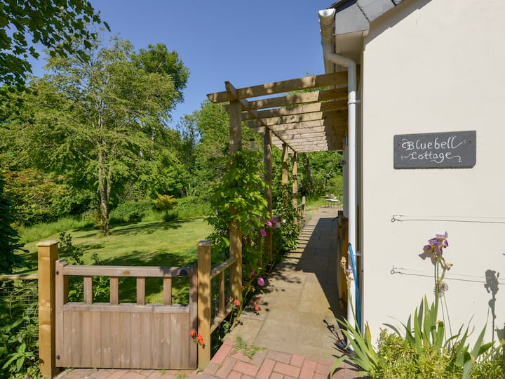 Bluebell Cottage - Tavistock