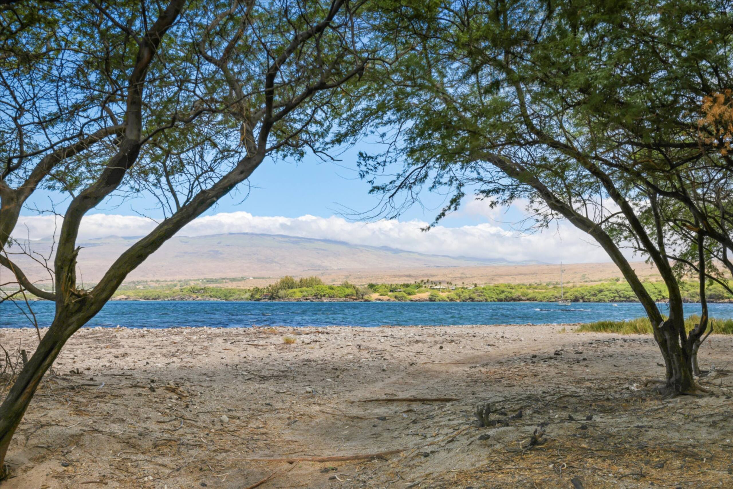 Condo in Waimea · ★5.0 · 3 bedrooms · 4 beds · 3 baths - Image 22