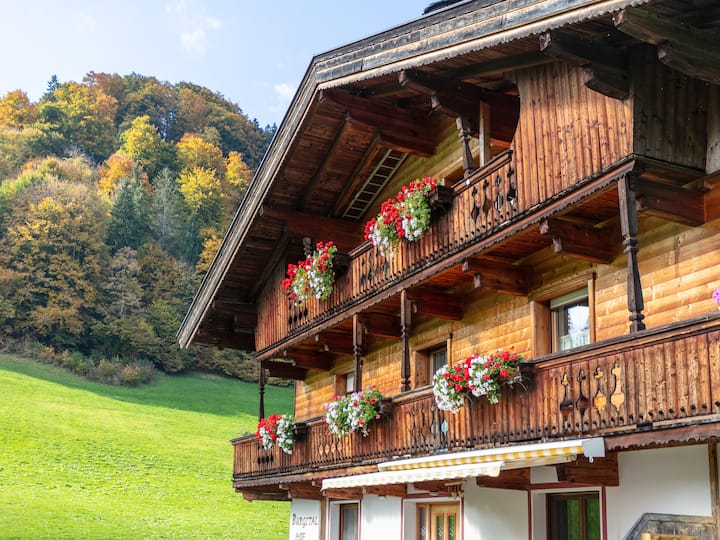 Appartement Avec Vue Sur Les Montagnes - Wörgl