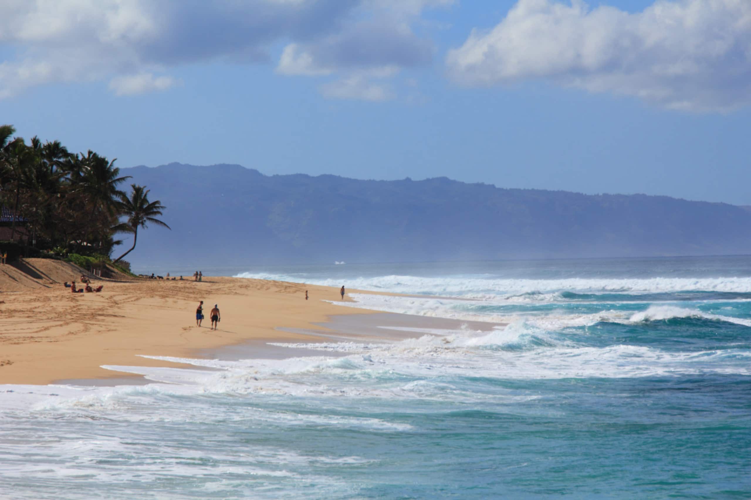Home in Kahuku · ★4.78 · 2 bedrooms · 2 beds · 2 private baths - Image 51