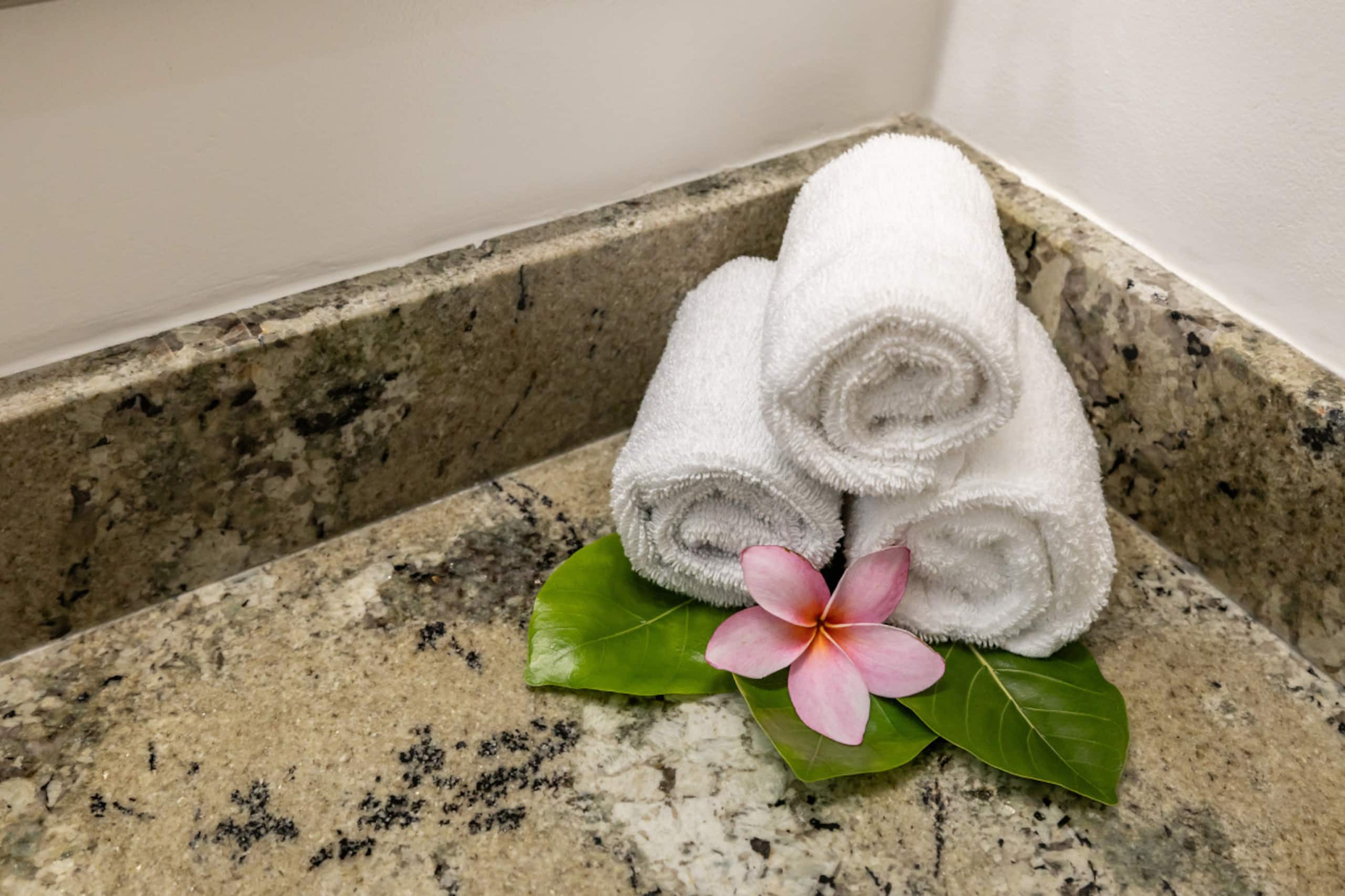 Home in Kahuku · ★4.78 · 2 bedrooms · 2 beds · 2 private baths - Image 27