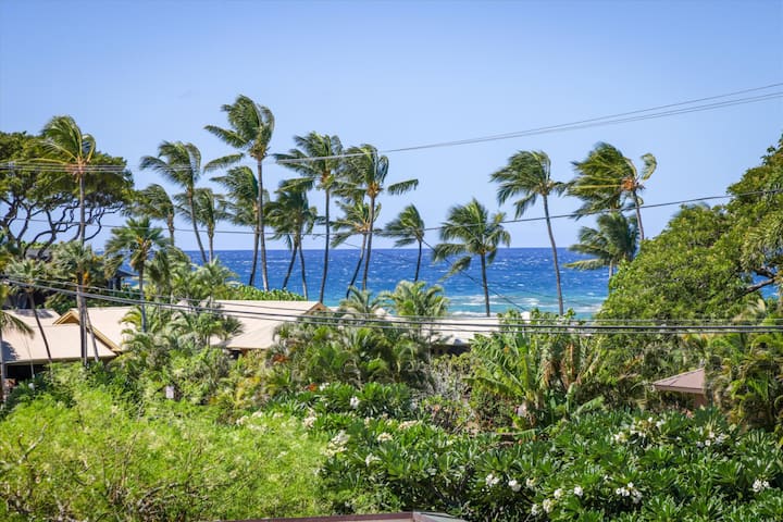 Oceanview Renovated 3br Condo Across From Beach - Hapuna Beach, HI