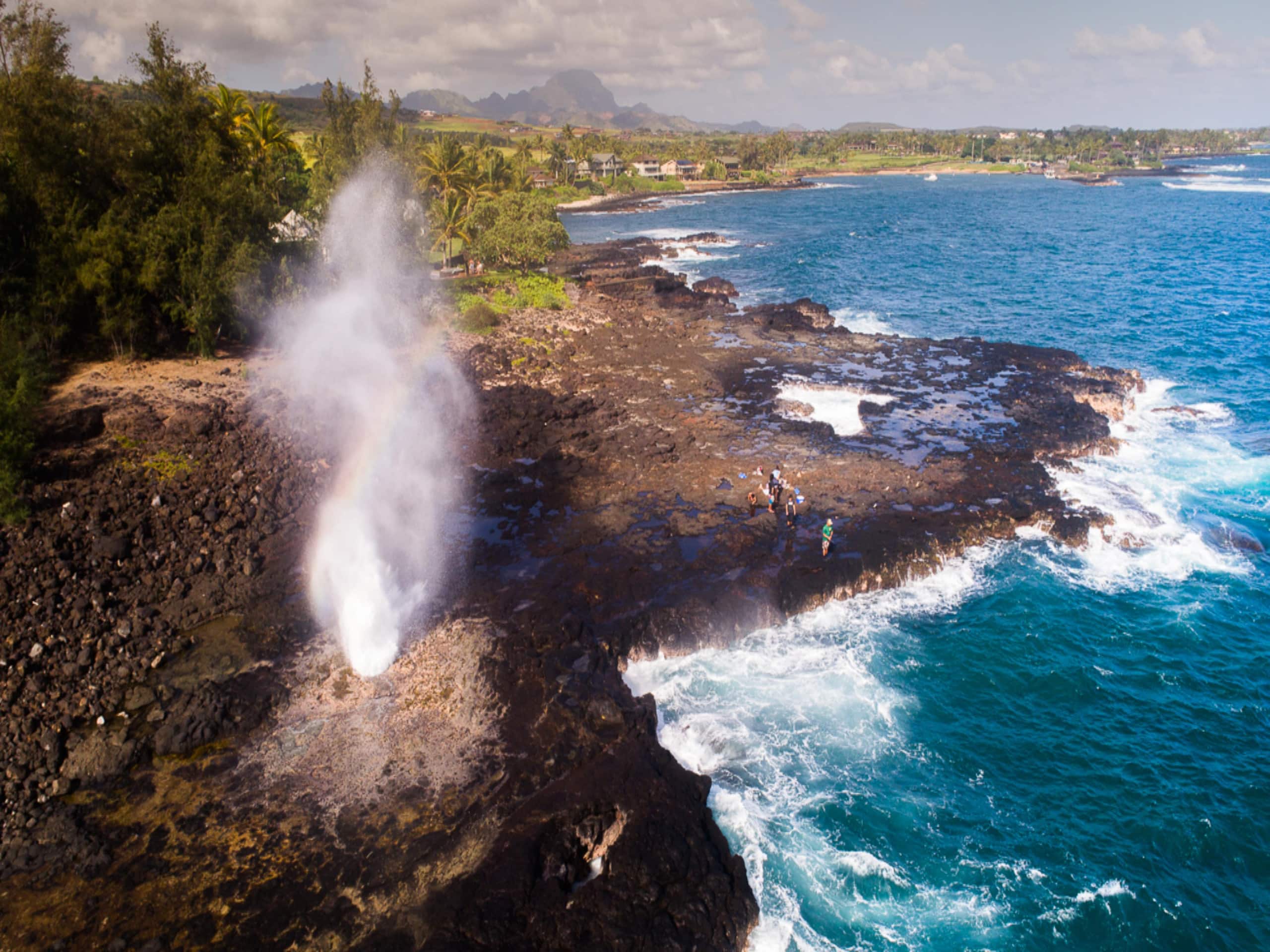 Home in Koloa · ★4.8 · 4 bedrooms · 5 beds · 3.5 baths - Photo 31