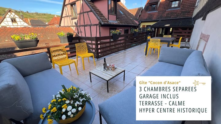 Maison De Ville Le Cocon D Alsace - Garage Inclus - Ribeauvillé