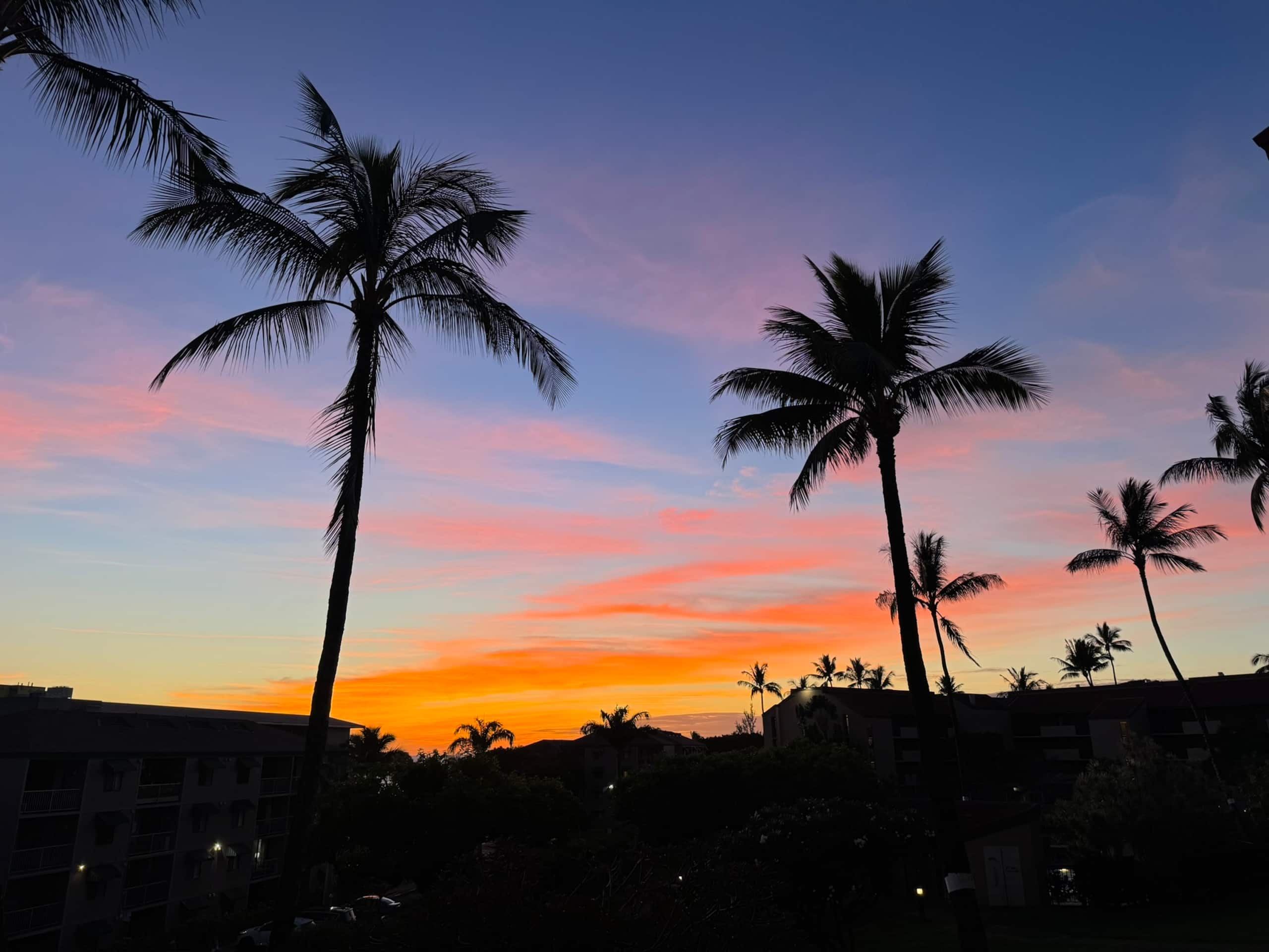 Condo in Kihei · ★5.0 · 1 bedroom · 2 beds · 1 bath - Image 59