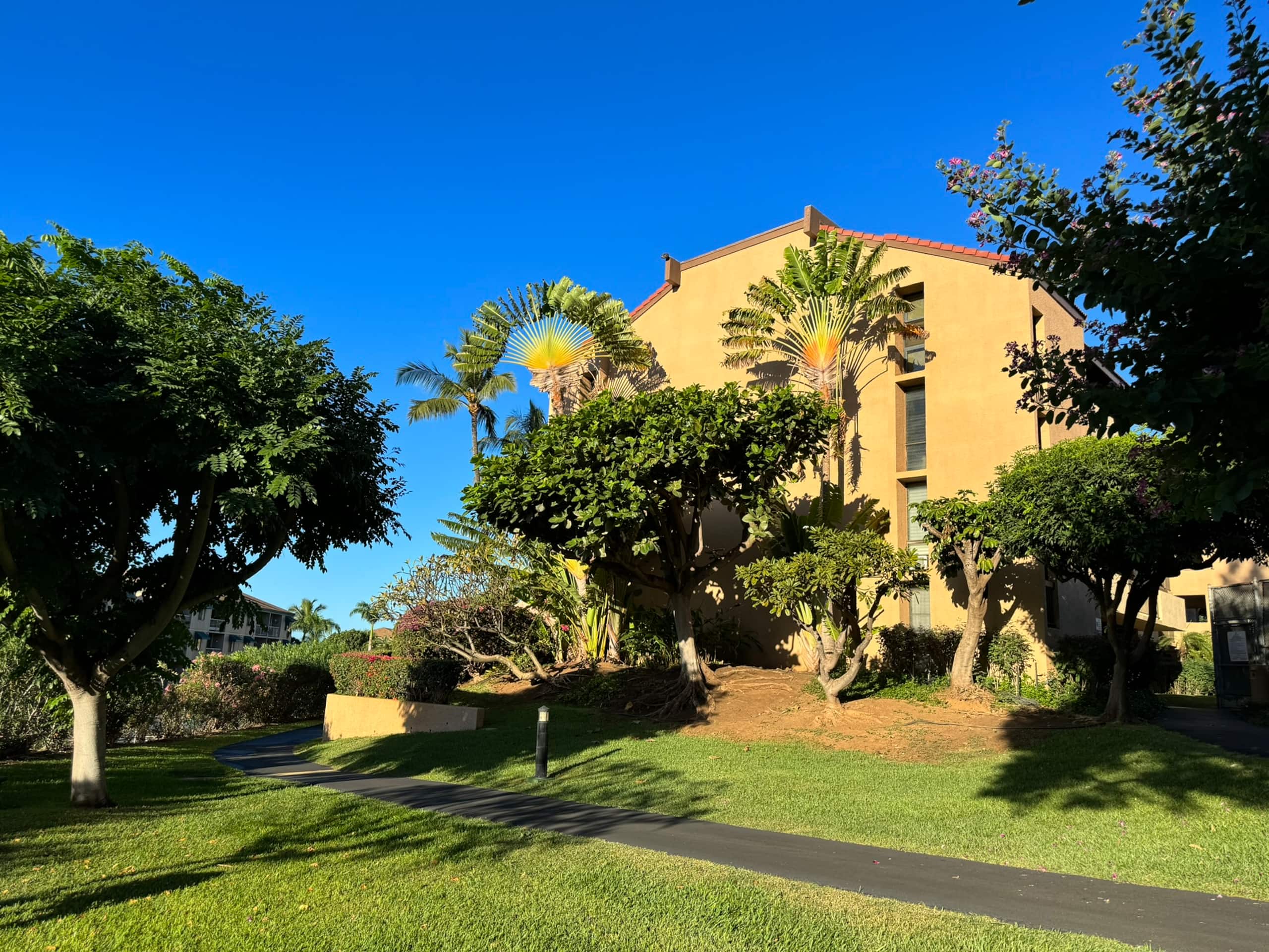 Condo in Kihei · ★5.0 · 1 bedroom · 2 beds · 1 bath - Image 38