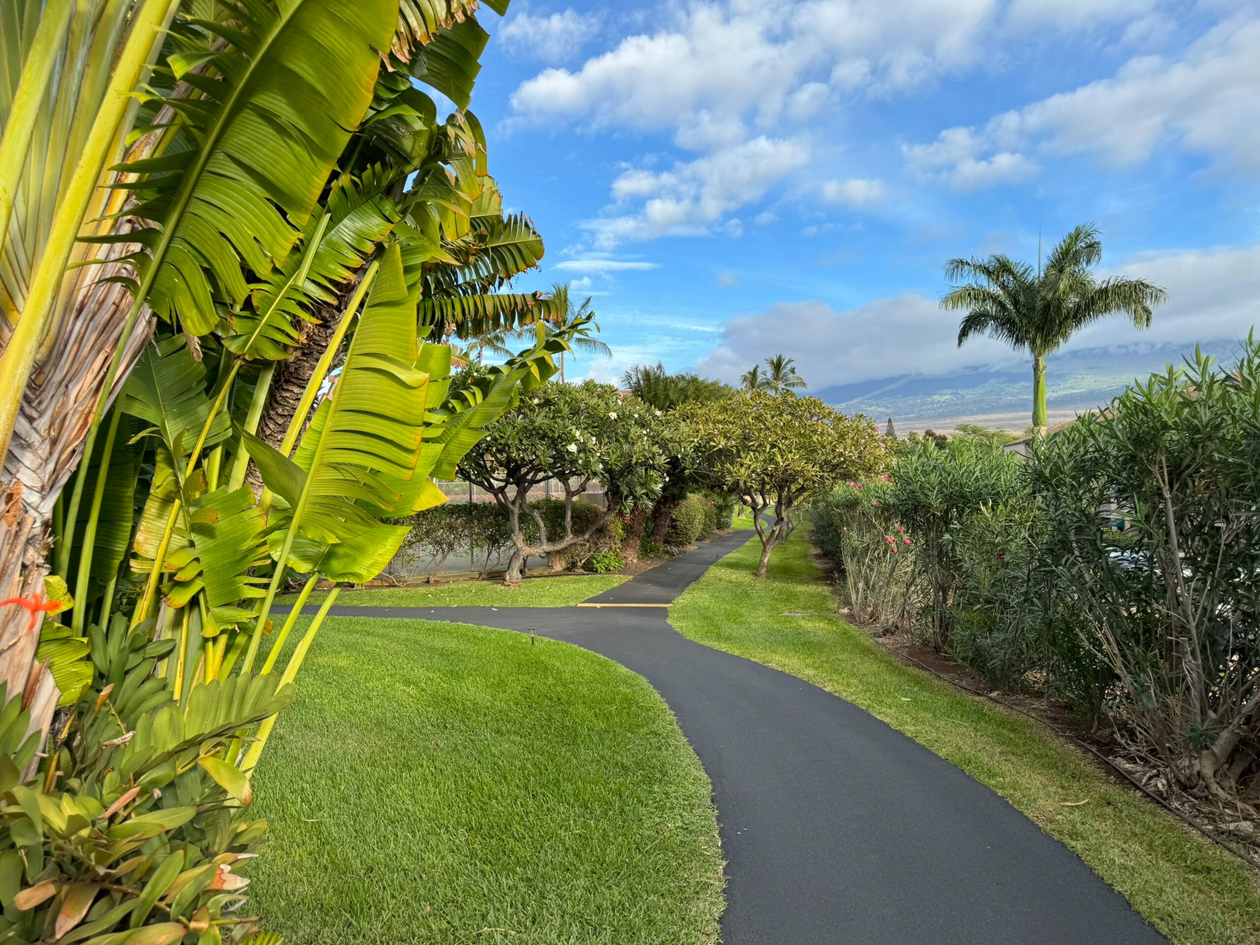 Condo in Kihei · ★5.0 · 1 bedroom · 2 beds · 1 bath - Image 37