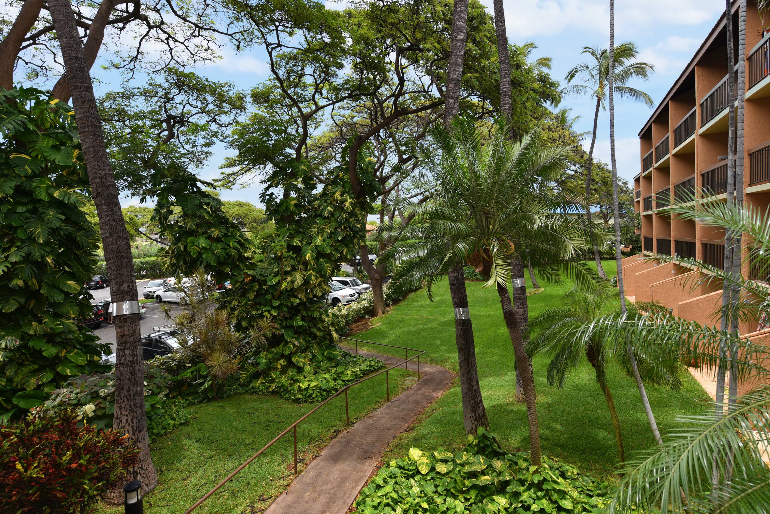 Condo in Kihei · ★5.0 · 1 bedroom · 2 beds · 1 bath - Image 36