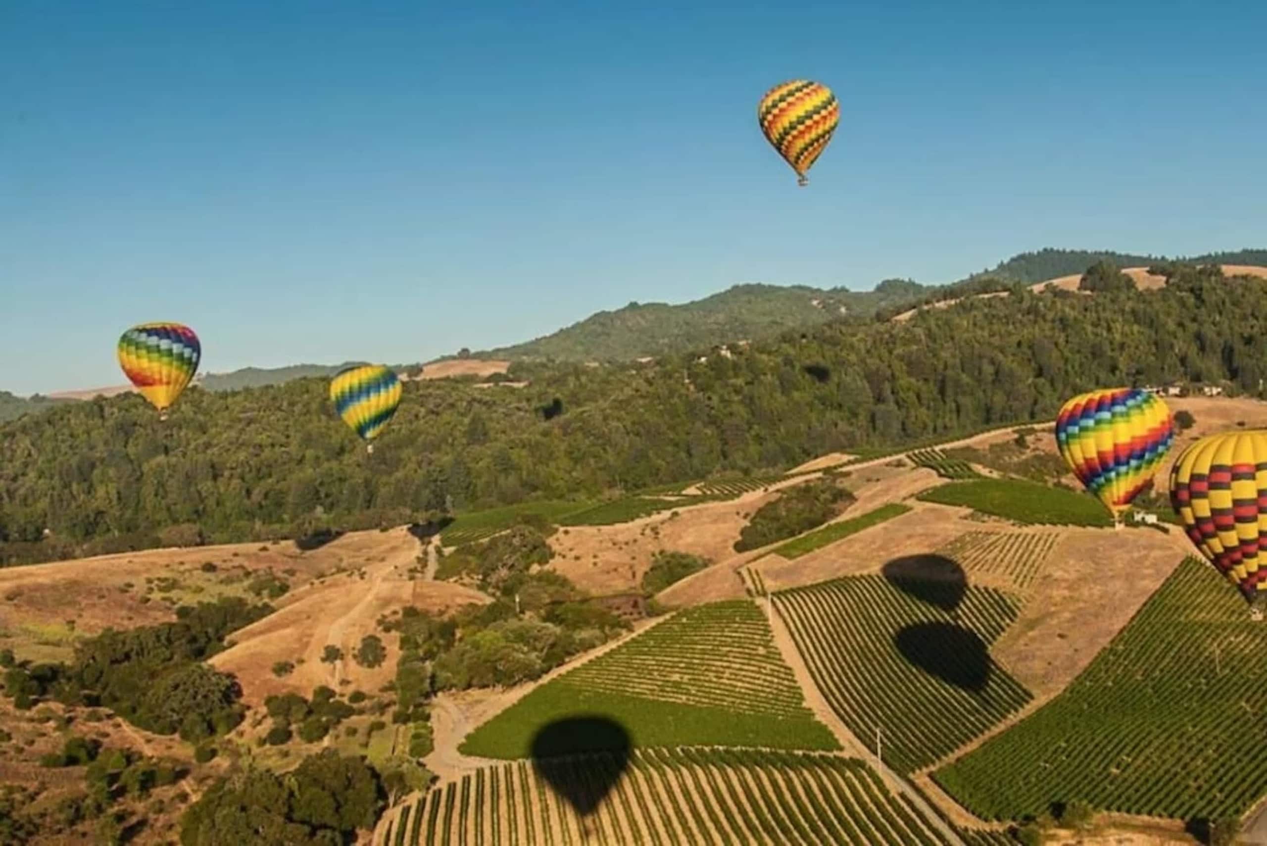 Side-by-Side Napa Condos with Golf Views - Photo 41