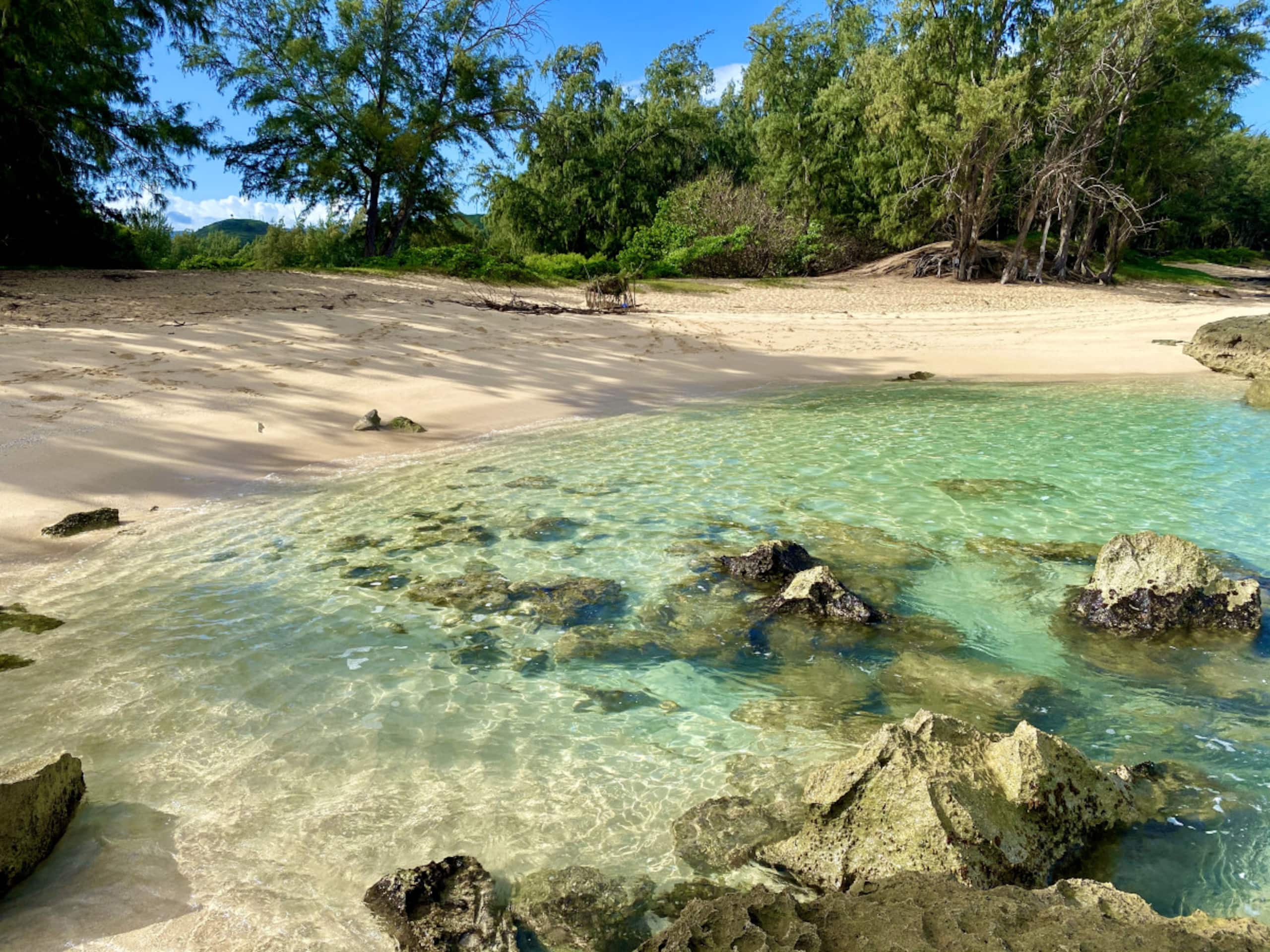 Home in Kahuku · ★4.76 · 1 bedroom · 2 beds · 2 private baths - Image 36