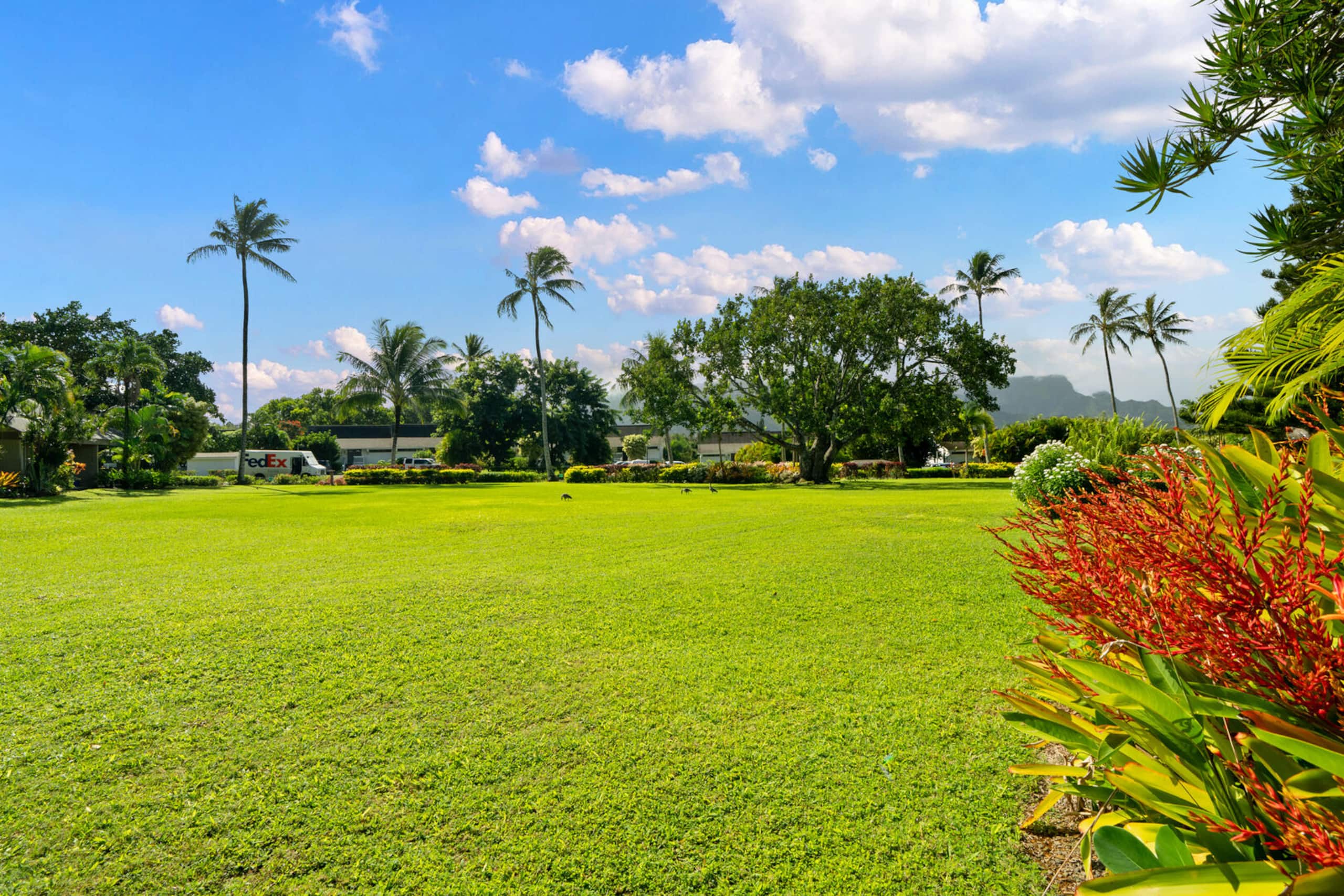 Tropical 2BR Retreat w/Mountain Views & Beach Path - Image 6
