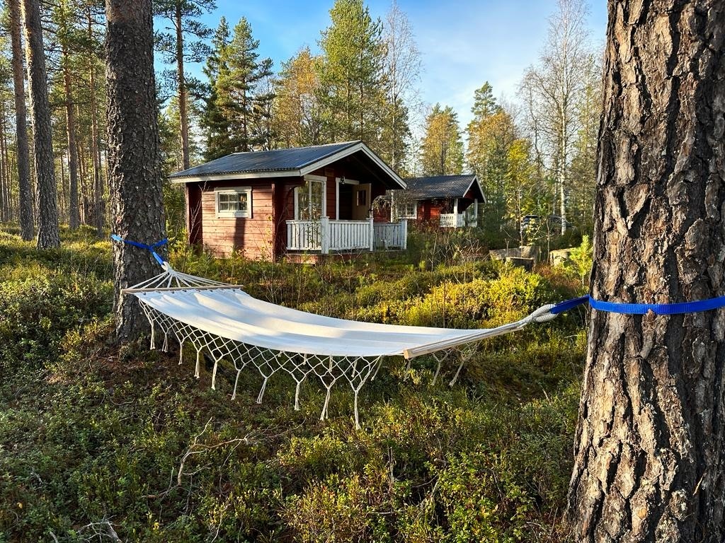 Natural Oasis Sweden Cottage Lake And Untouched Forests Cabins preview