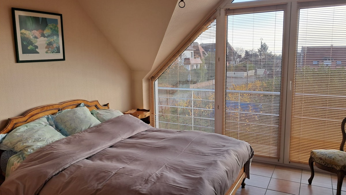 独立卧室配备加大双人床、羽绒被、大更衣室和电视