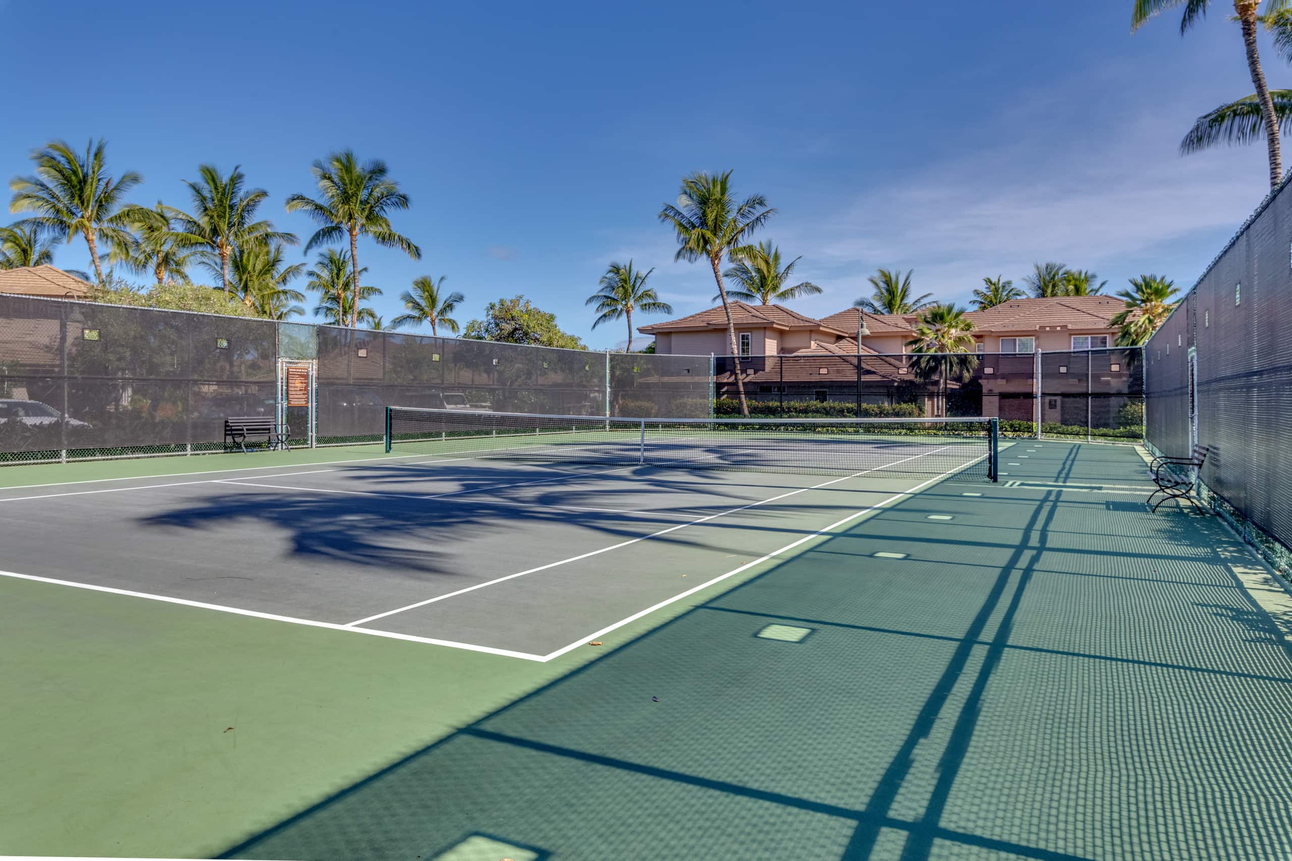 Waikoloa Colony Villas-Pool Pickle Ball Beach Gear - Photo 46