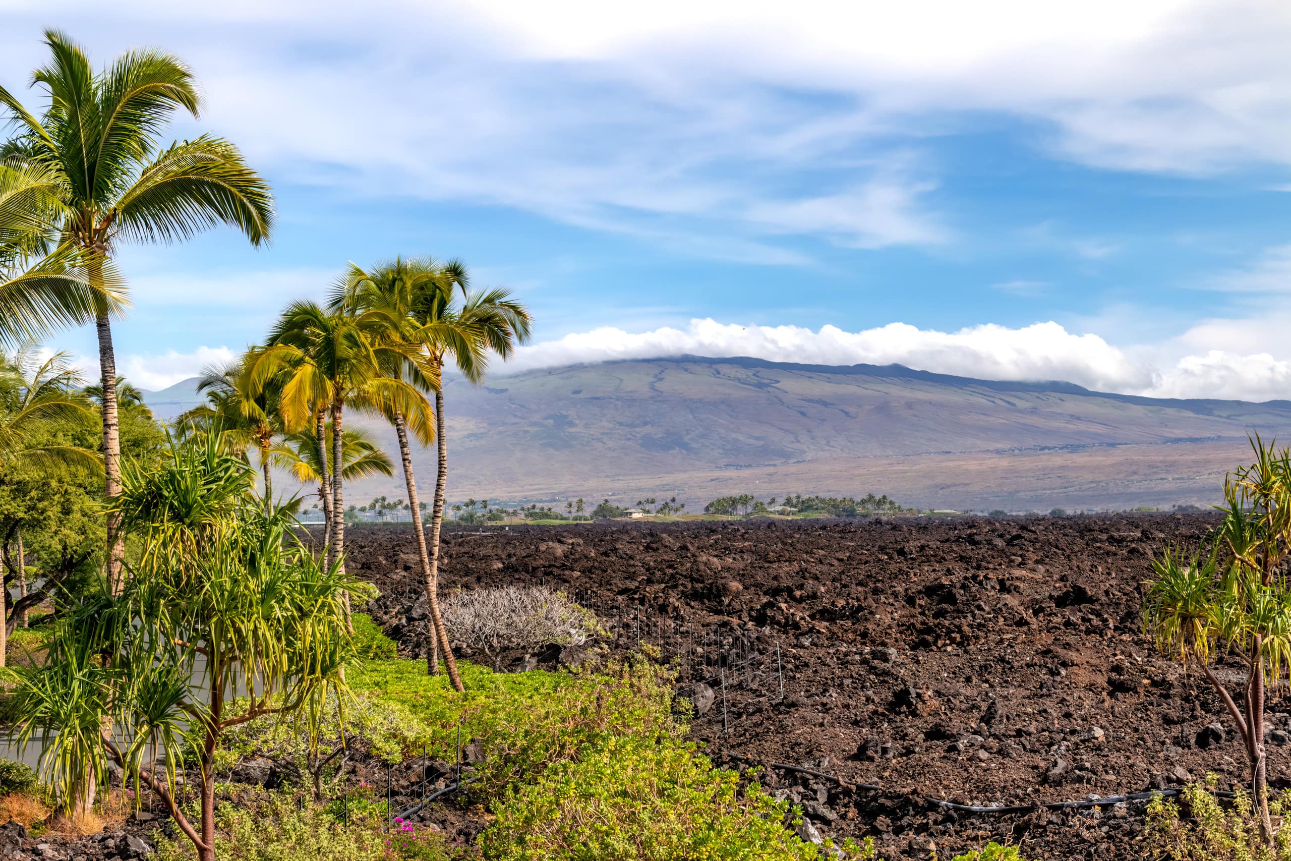 Waikoloa Colony Villas-Pool Pickle Ball Beach Gear - Photo 41