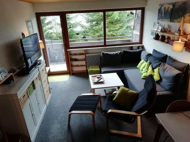 Haus Elisabeth Top 105 - Krimml