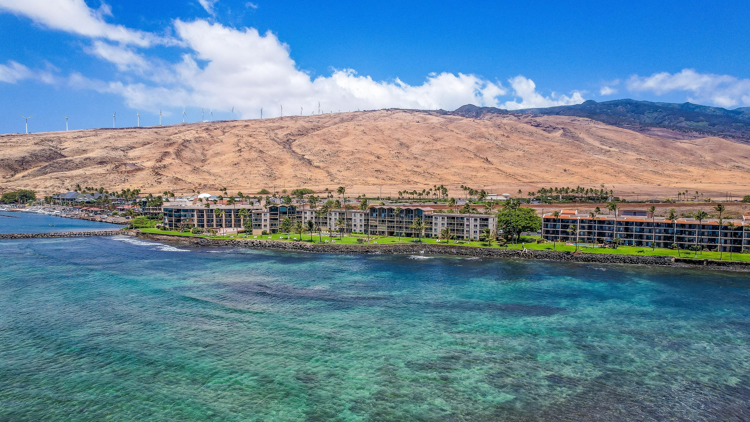 Condo in Wailuku · ★5.0 · 2 bedrooms · 2 beds · 2 private baths - Image 73