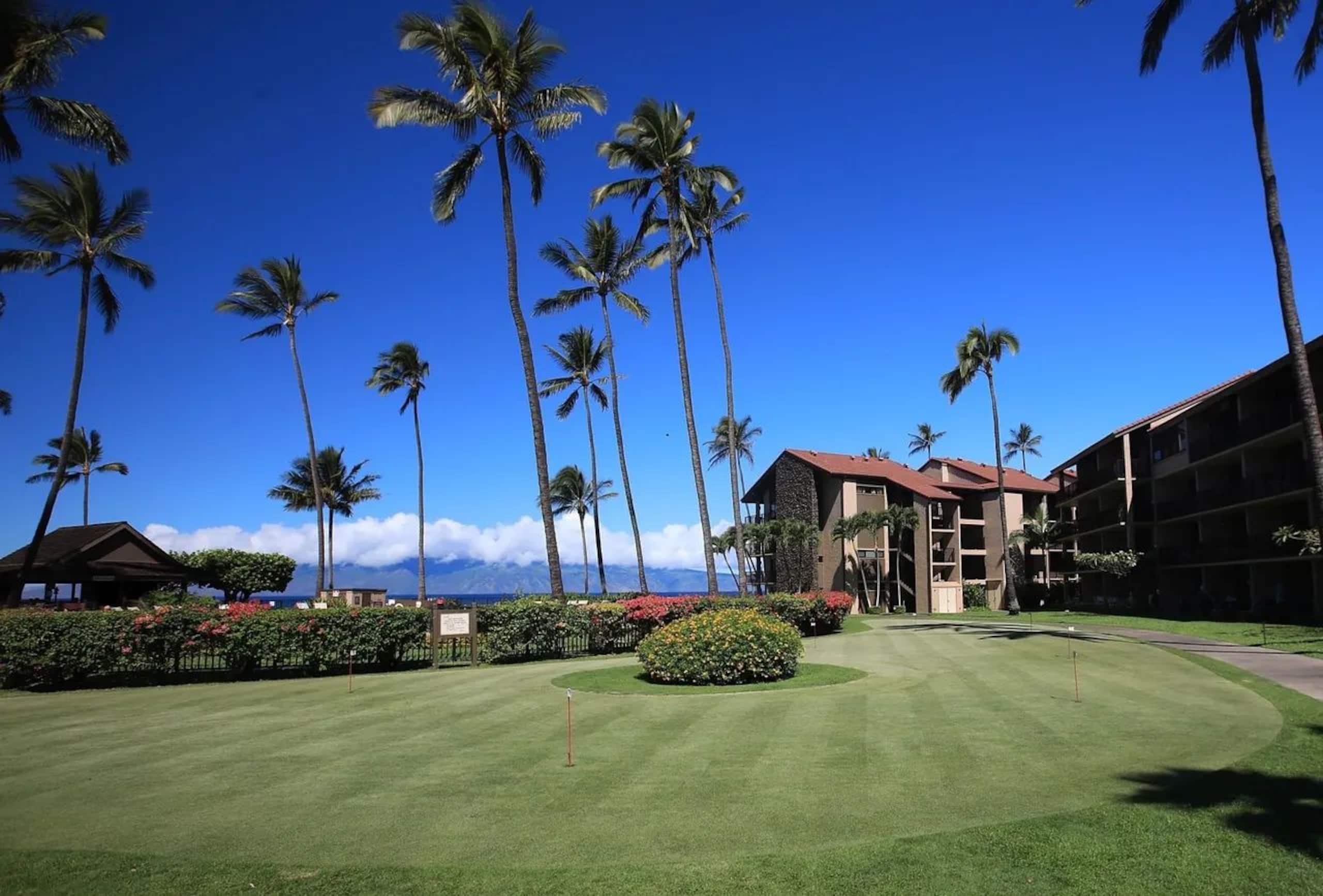 Condo in Lahaina · ★4.96 · Studio · 1 bed · 1 private bath - Image 22