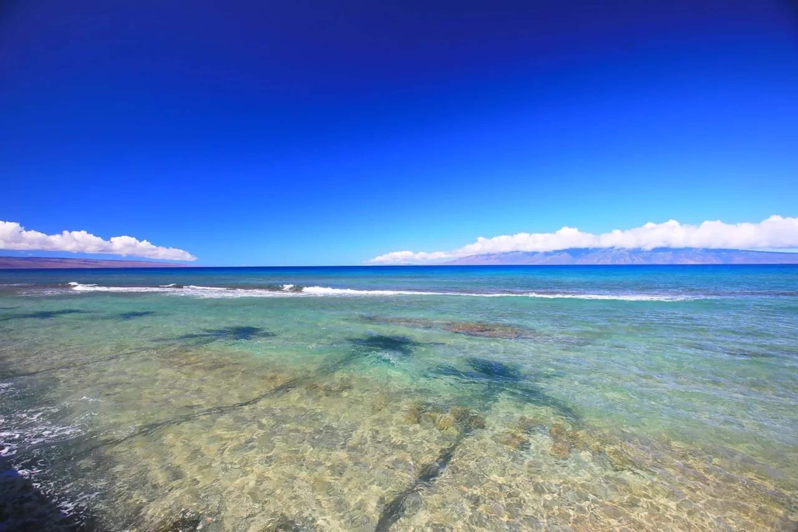 Condo in Lahaina · ★4.96 · Studio · 1 bed · 1 private bath - Image 38