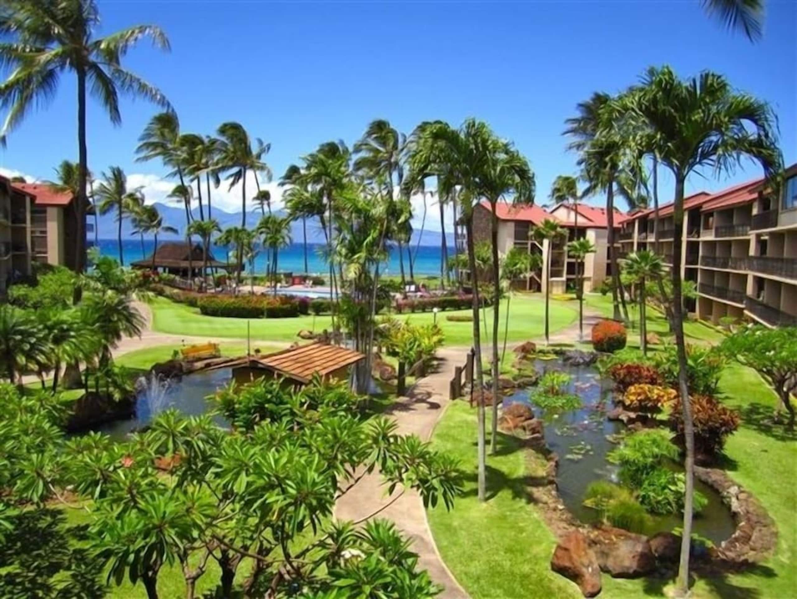 Condo in Lahaina · ★4.96 · Studio · 1 bed · 1 private bath - Image 1
